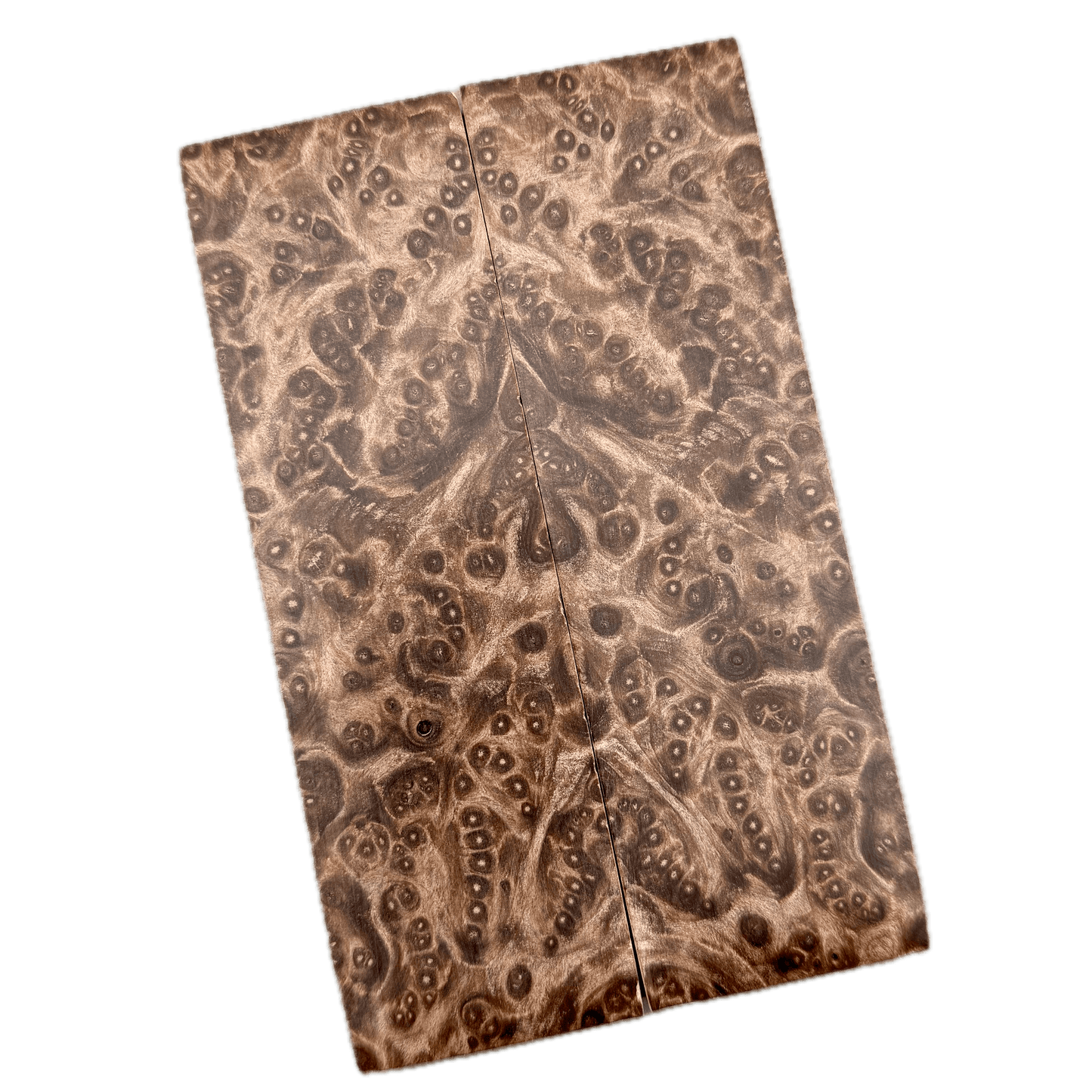 Redwood Burl Scales (K&G Stabilized) - REB38