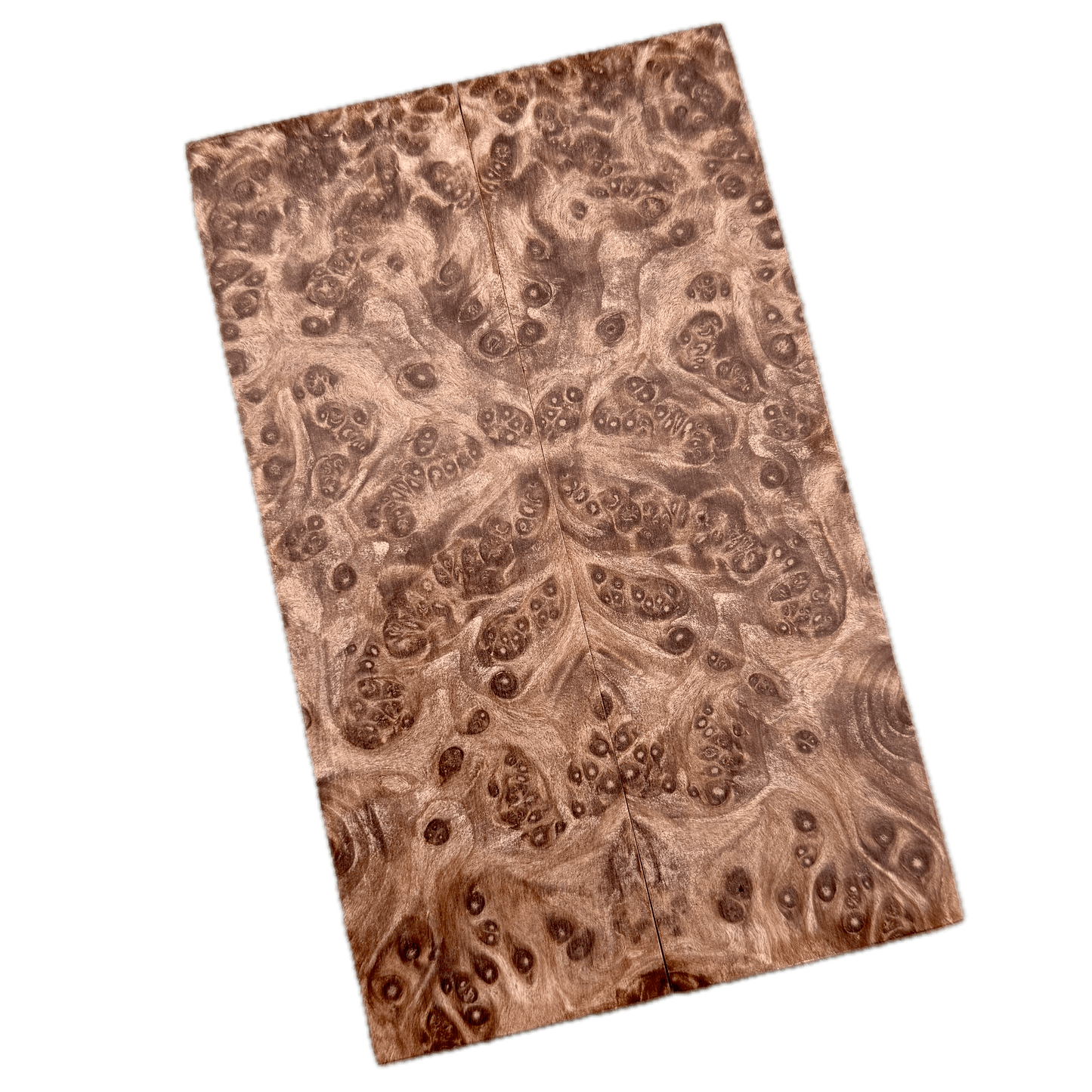 Redwood Burl Scales (K&G Stabilized) - REB39
