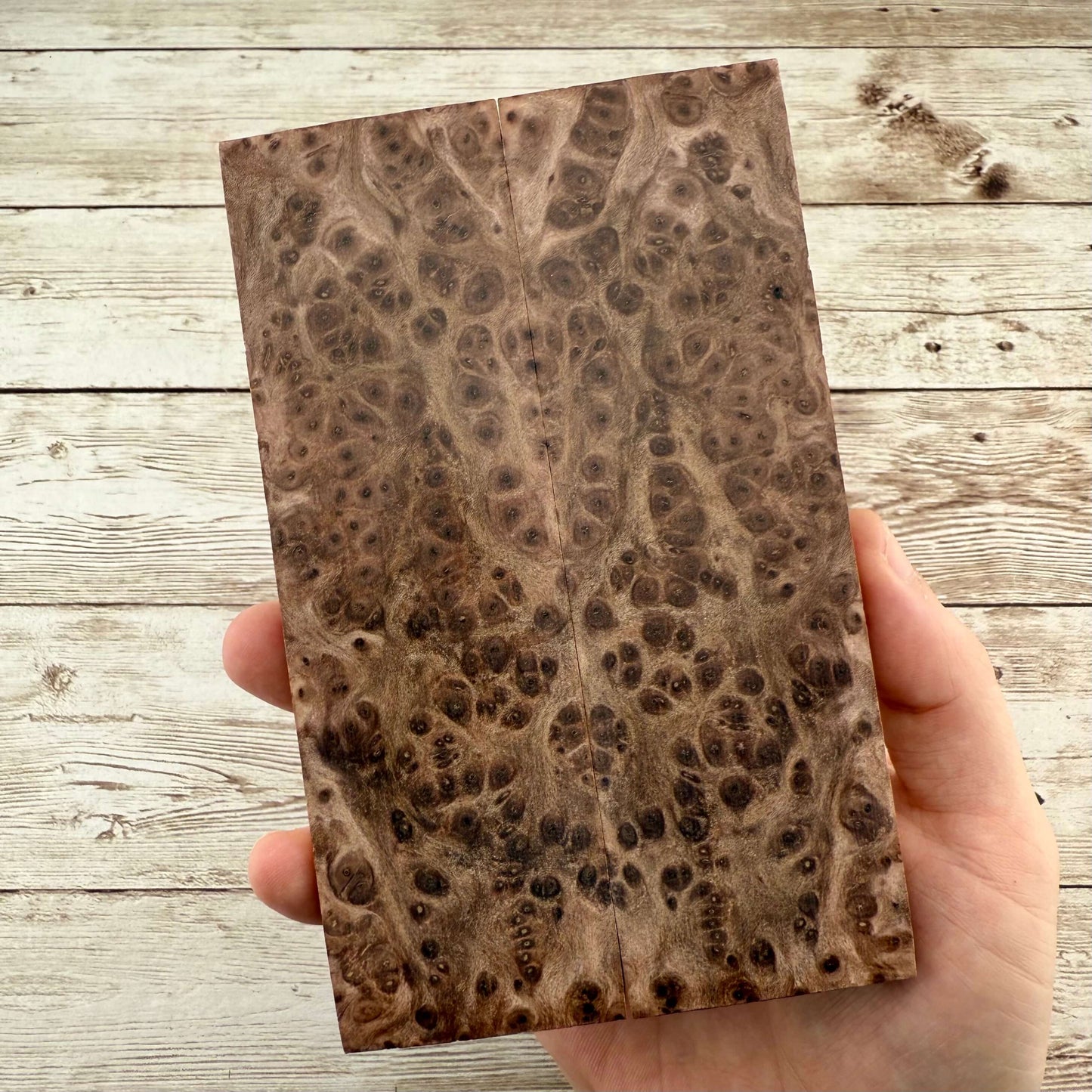 Redwood Burl Scales (K&G Stabilized) - REB40