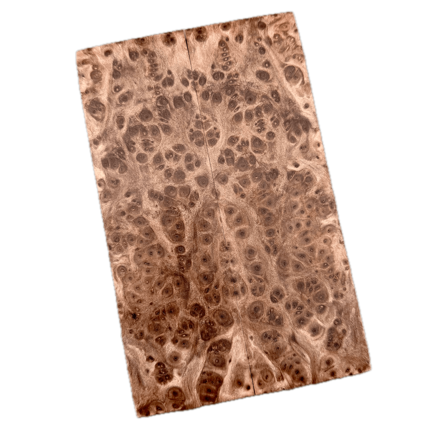 Redwood Burl Scales (K&G Stabilized) - REB40
