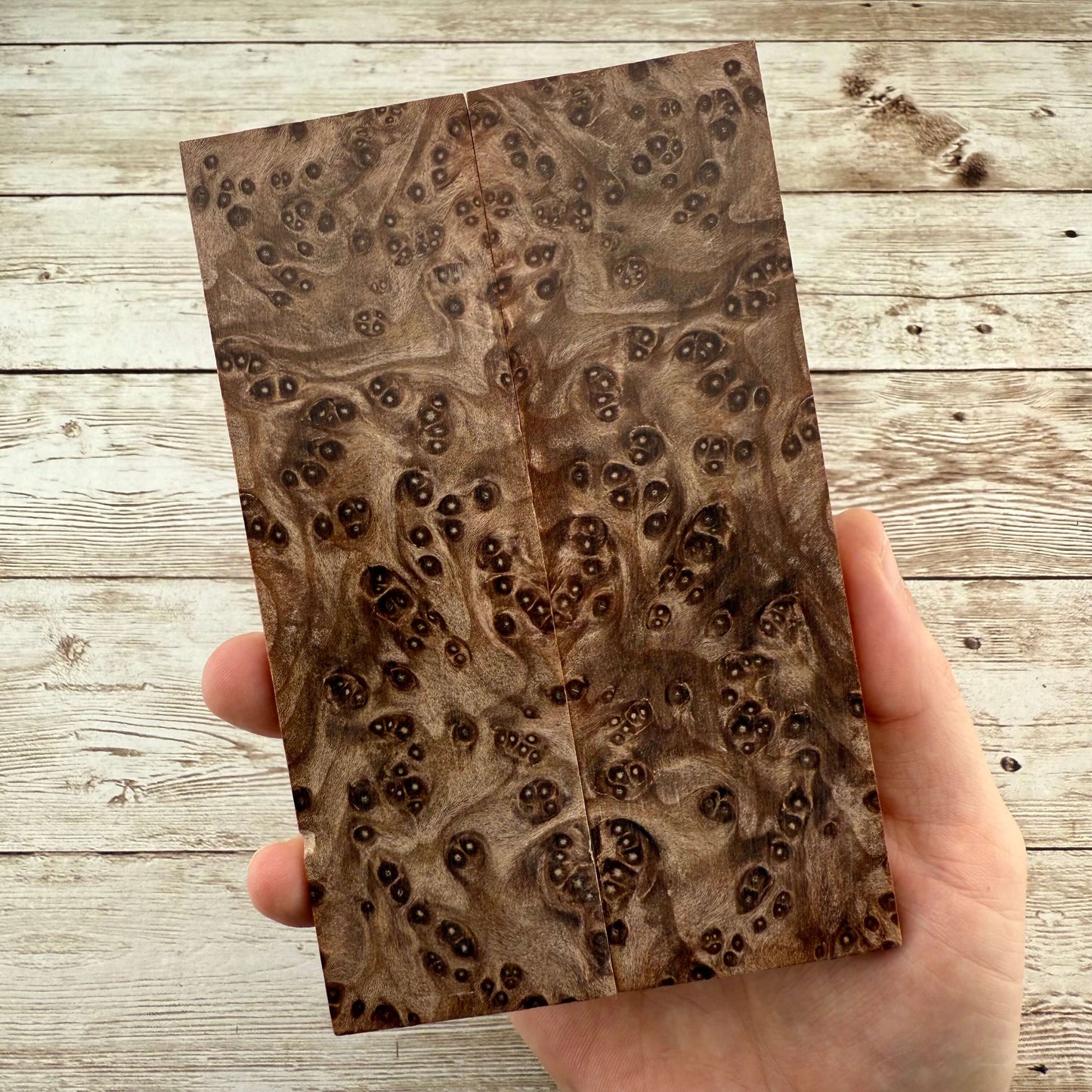 Redwood Burl Scales (K&G Stabilized) - REB41