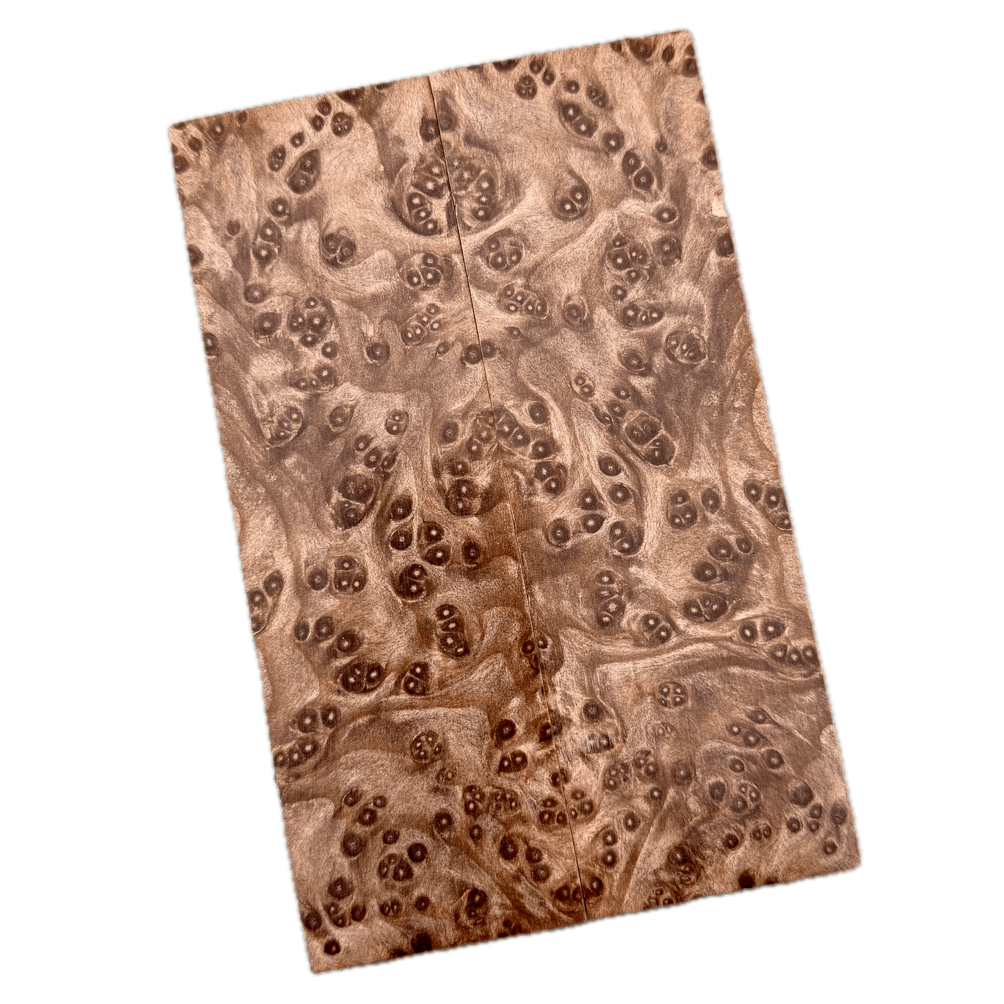 Redwood Burl Scales (K&G Stabilized) - REB41
