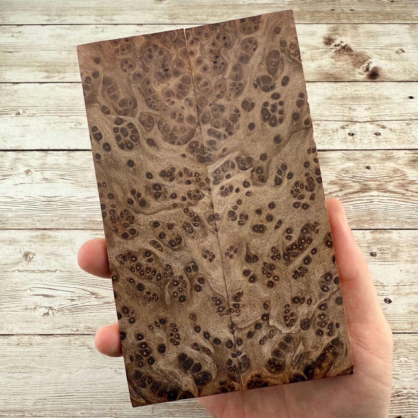 Redwood Burl Scales (K&G Stabilized) - REB42