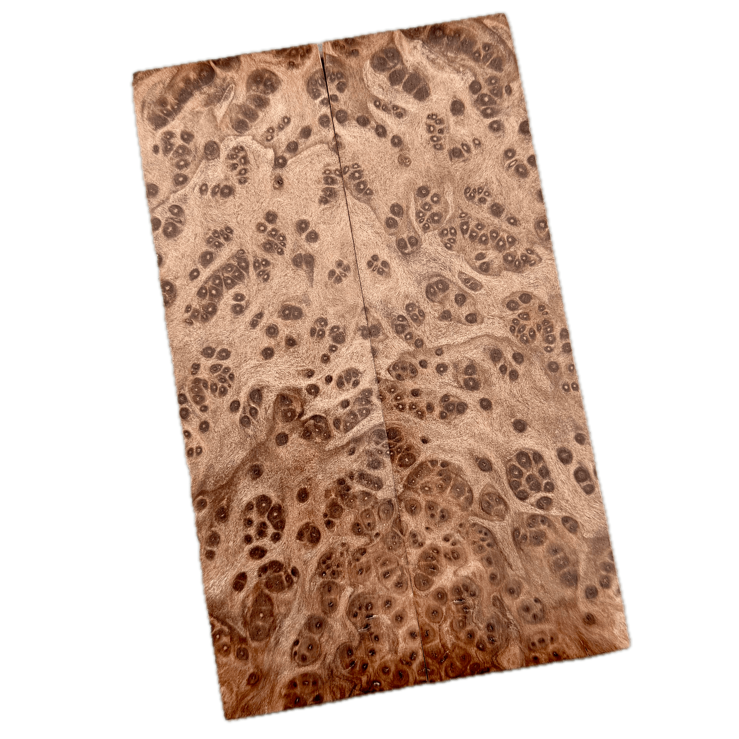 Redwood Burl Scales (K&G Stabilized) - REB42