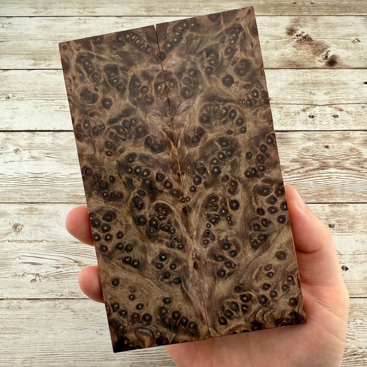 Redwood Burl Scales (K&G Stabilized) - REB43