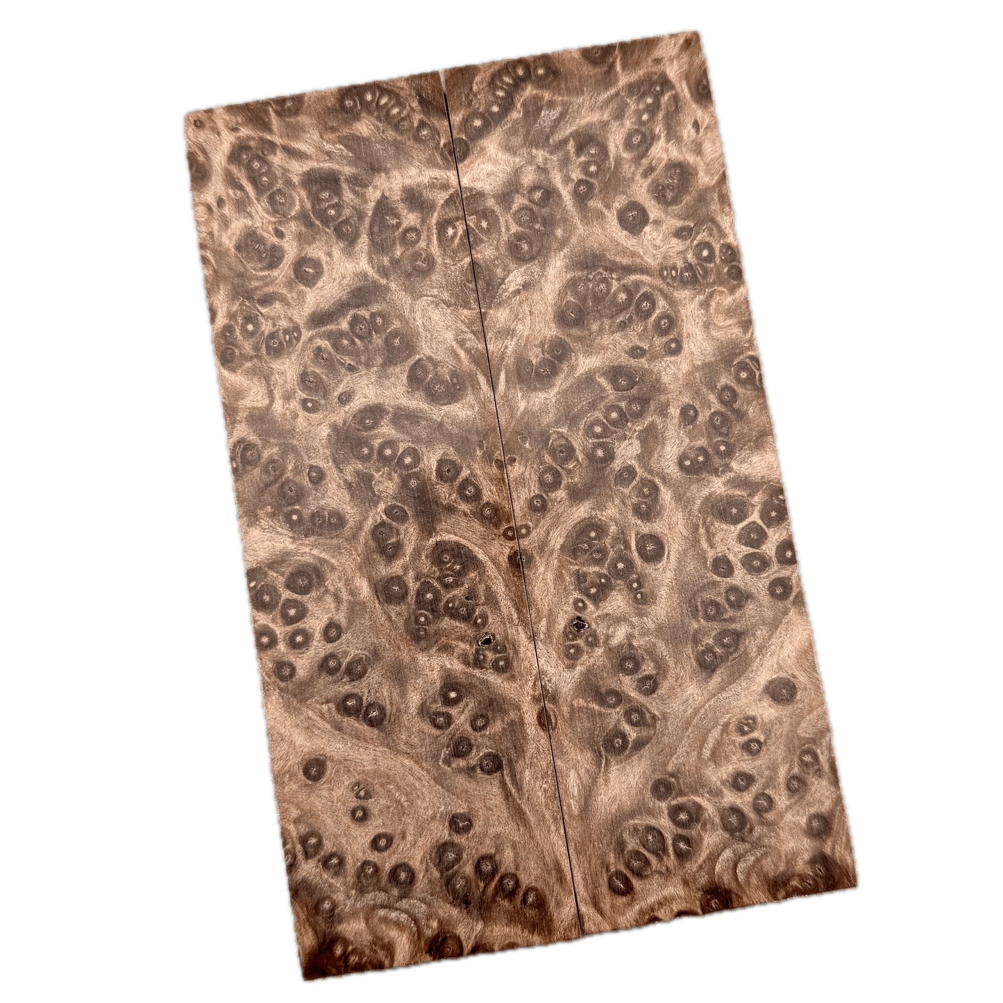 Redwood Burl Scales (K&G Stabilized) - REB43