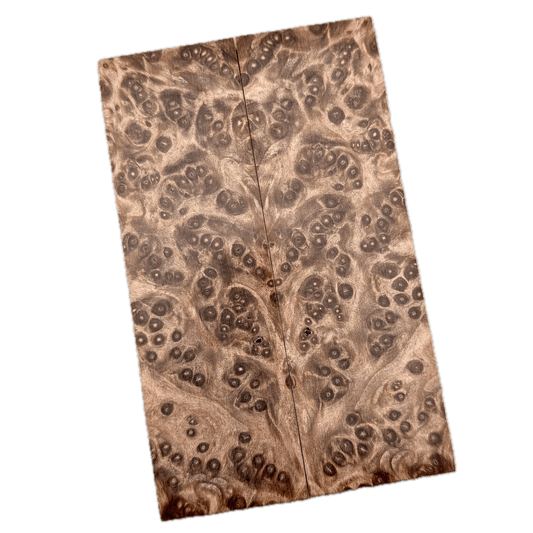 Redwood Burl Scales (K&G Stabilized) - REB43