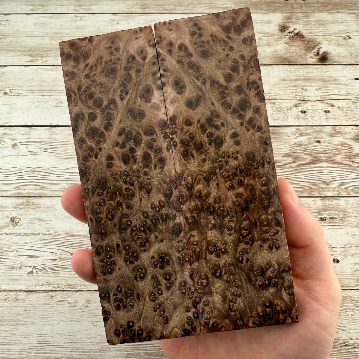 Redwood Burl Scales (K&G Stabilized) - REB44
