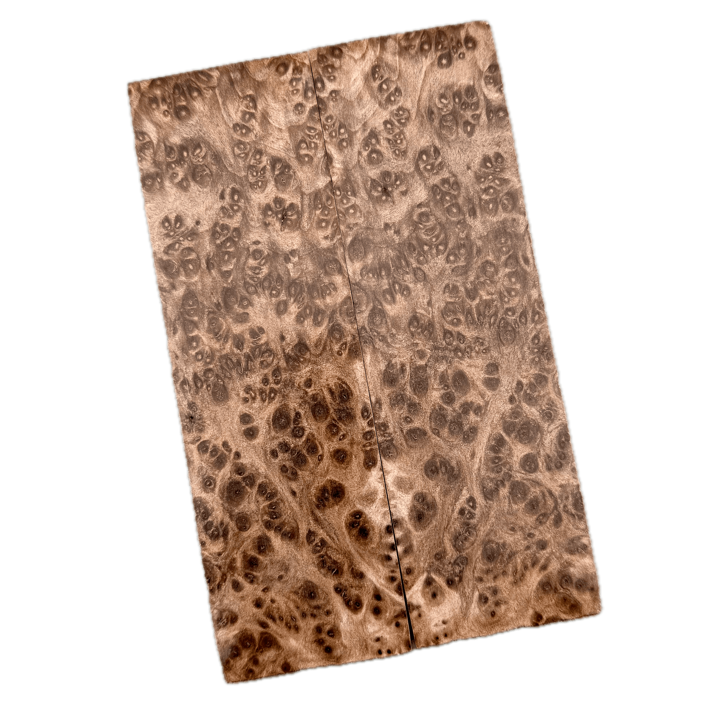 Redwood Burl Scales (K&G Stabilized) - REB44