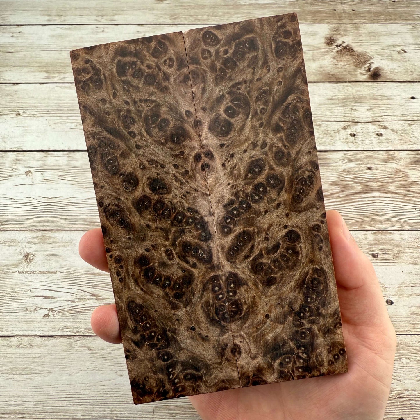 Redwood Burl Scales (K&G Stabilized) - REB45