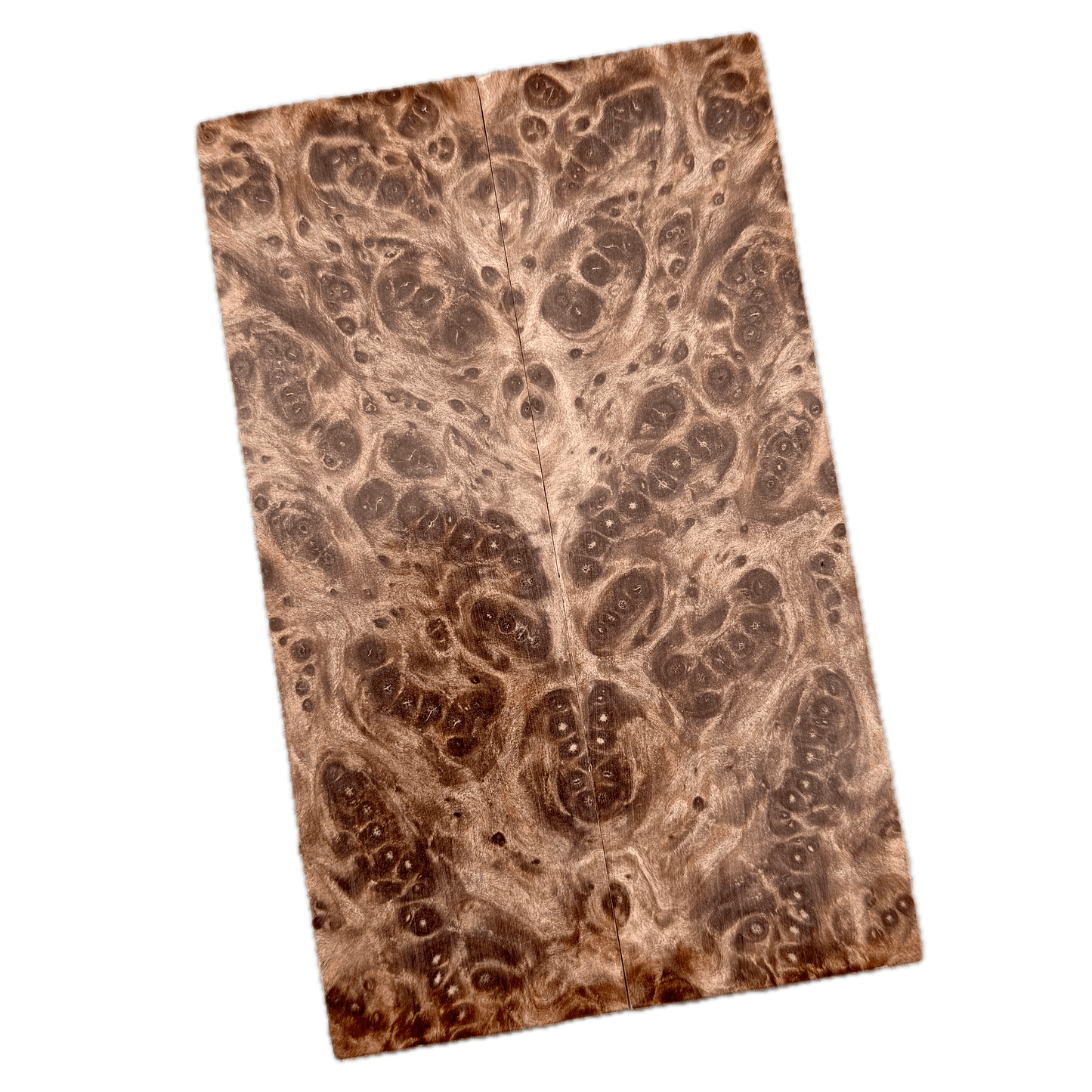 Redwood Burl Scales (K&G Stabilized) - REB45