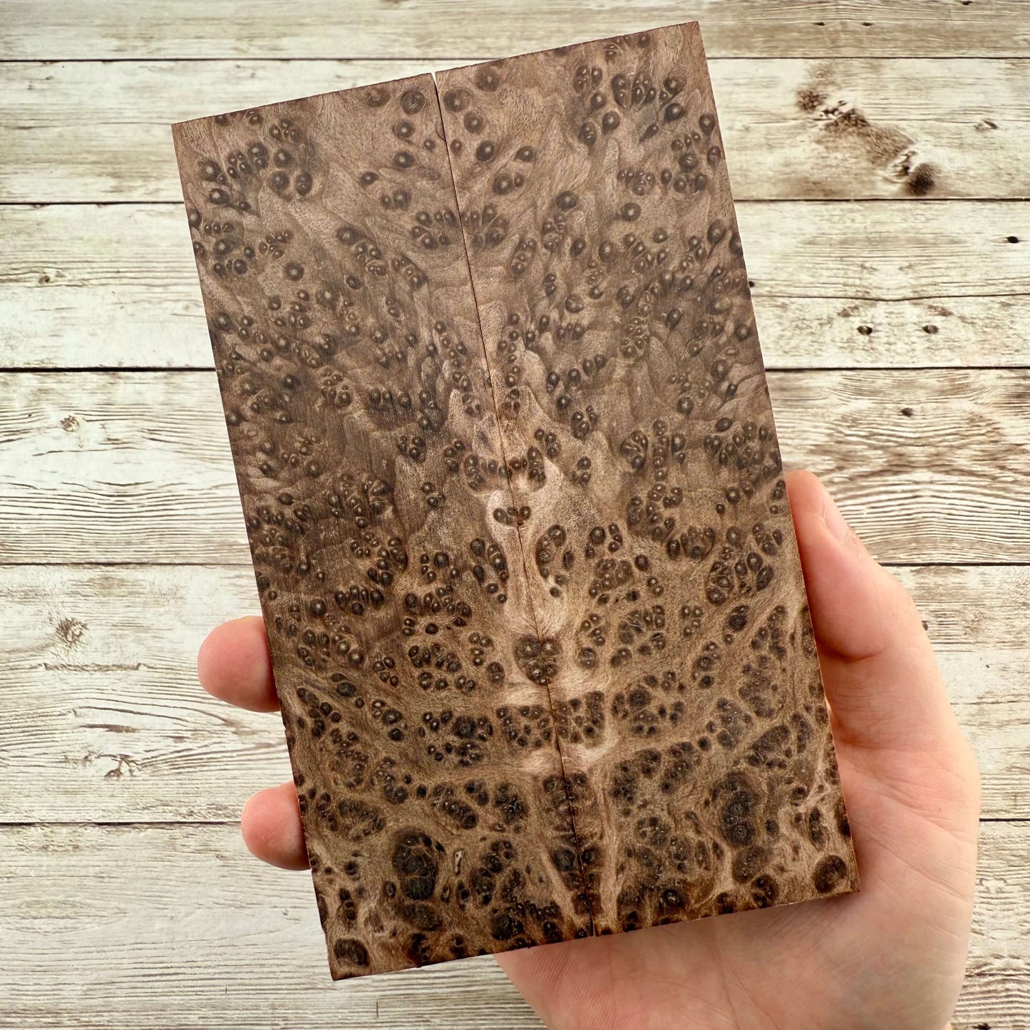 Redwood Burl Scales (K&G Stabilized) - REB46