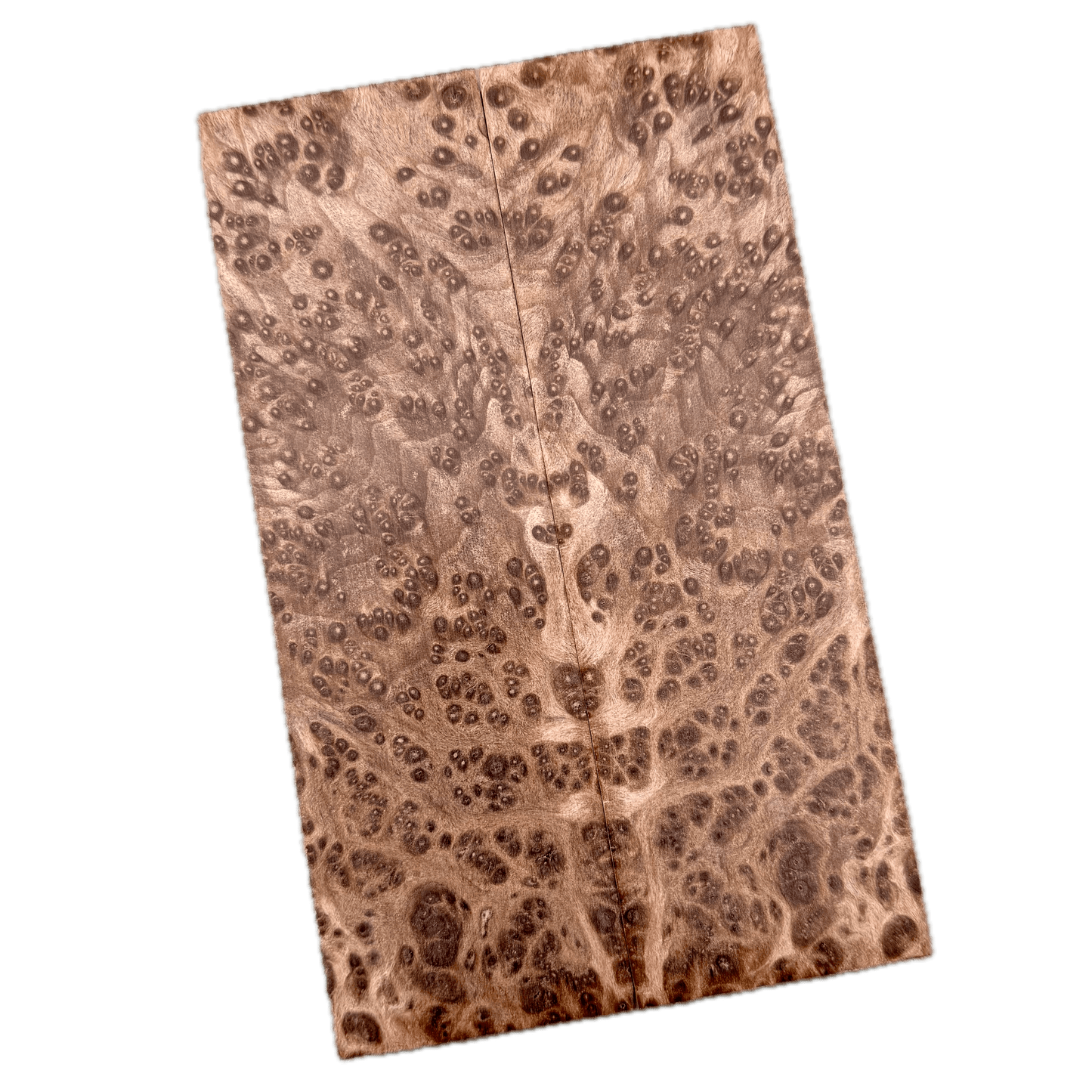 Redwood Burl Scales (K&G Stabilized) - REB46