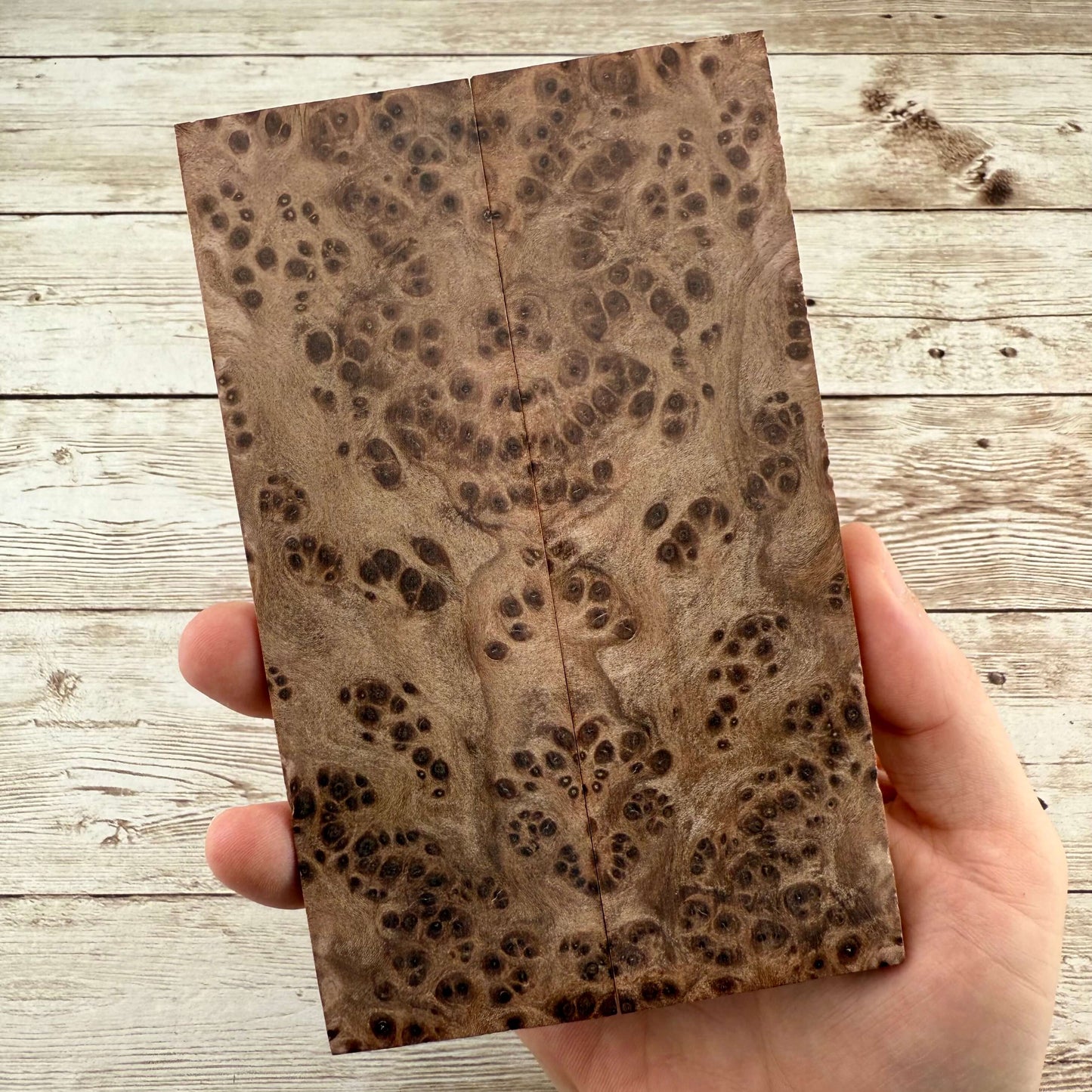 Redwood Burl Scales (K&G Stabilized) - REB47