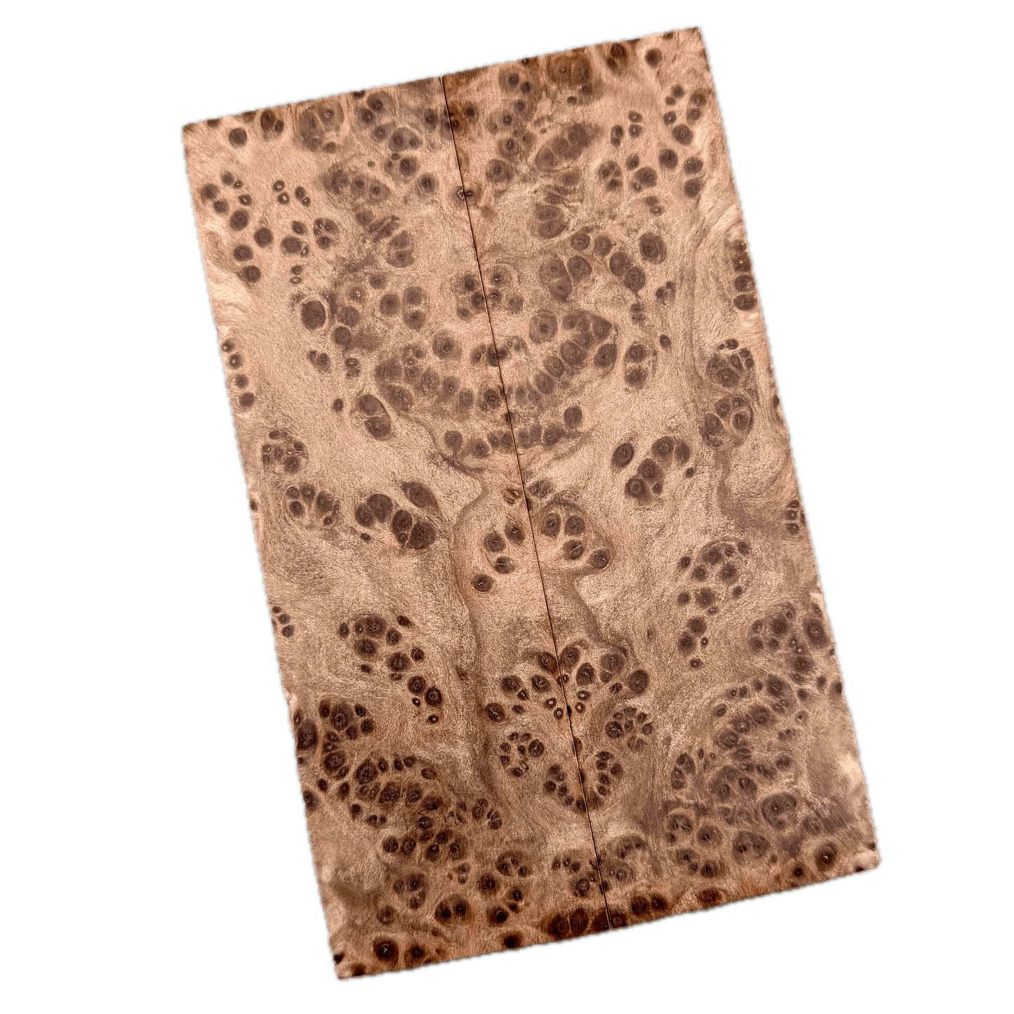 Redwood Burl Scales (K&G Stabilized) - REB47