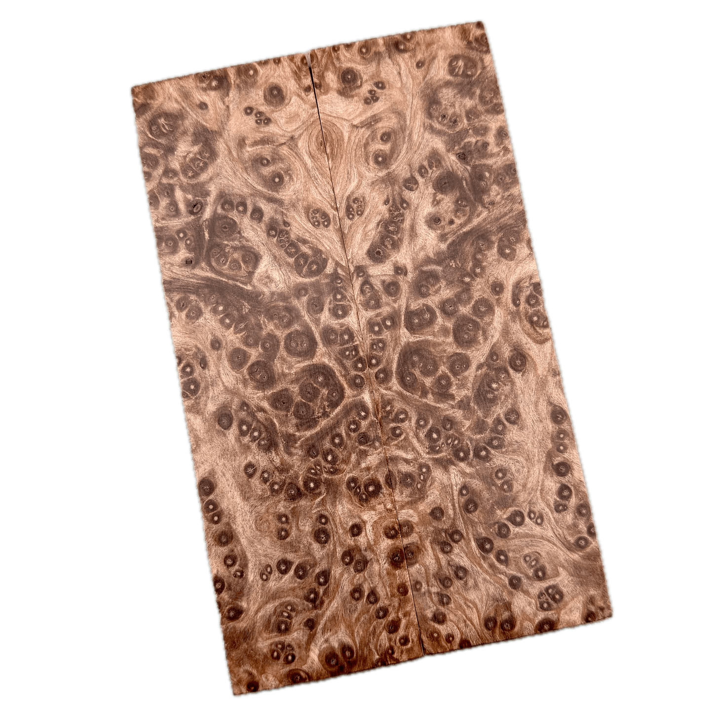 Redwood Burl Scales (K&G Stabilized) - REB48