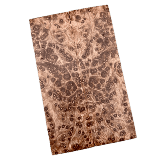 Redwood Burl Scales (K&G Stabilized) - REB48