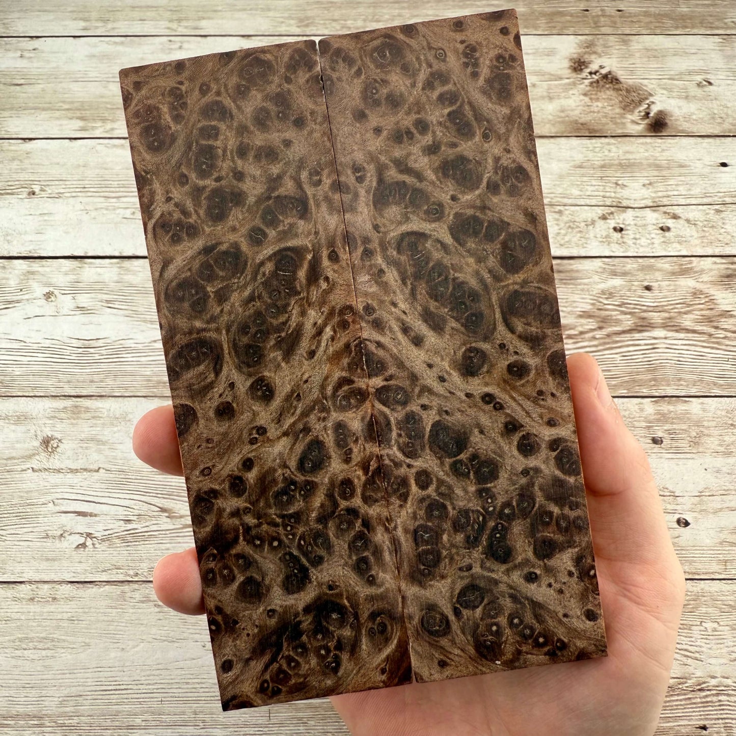 Redwood Burl Scales (K&G Stabilized) - REB49