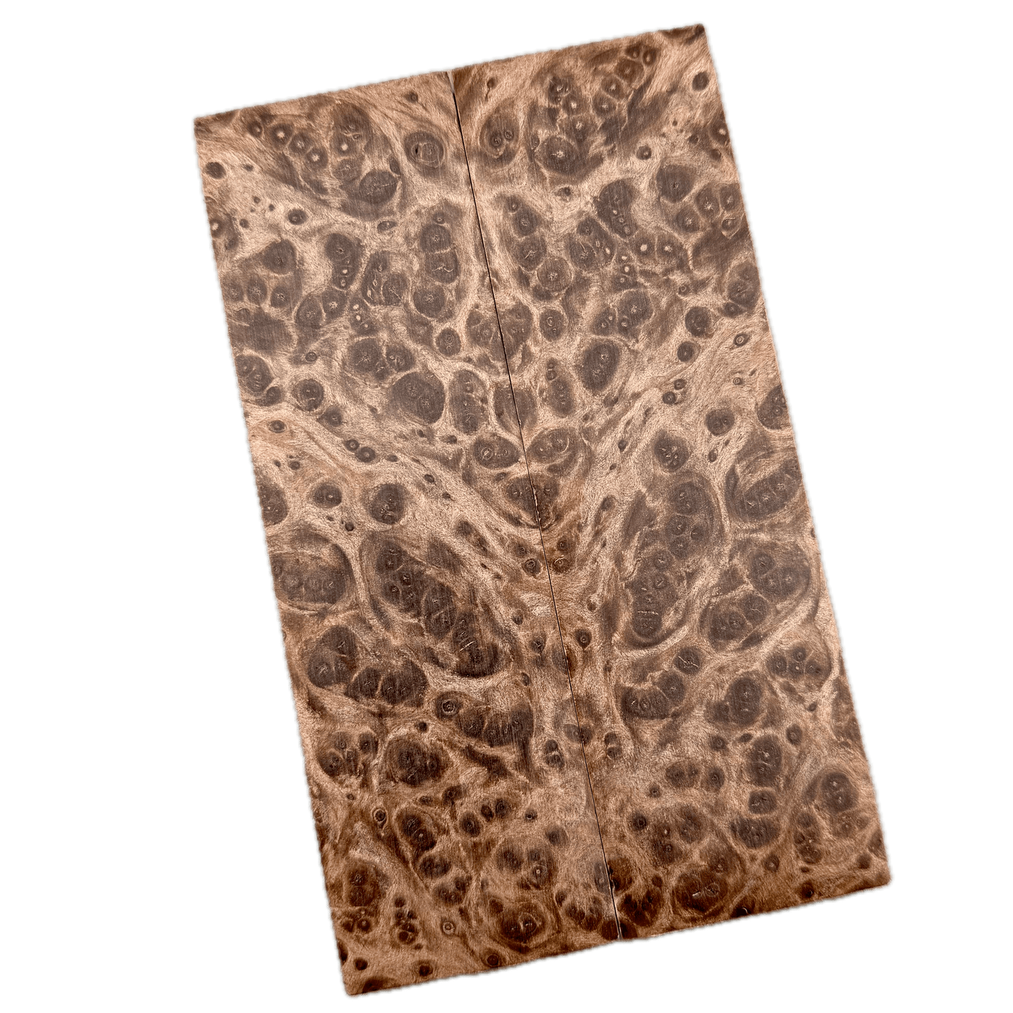 Redwood Burl Scales (K&G Stabilized) - REB49