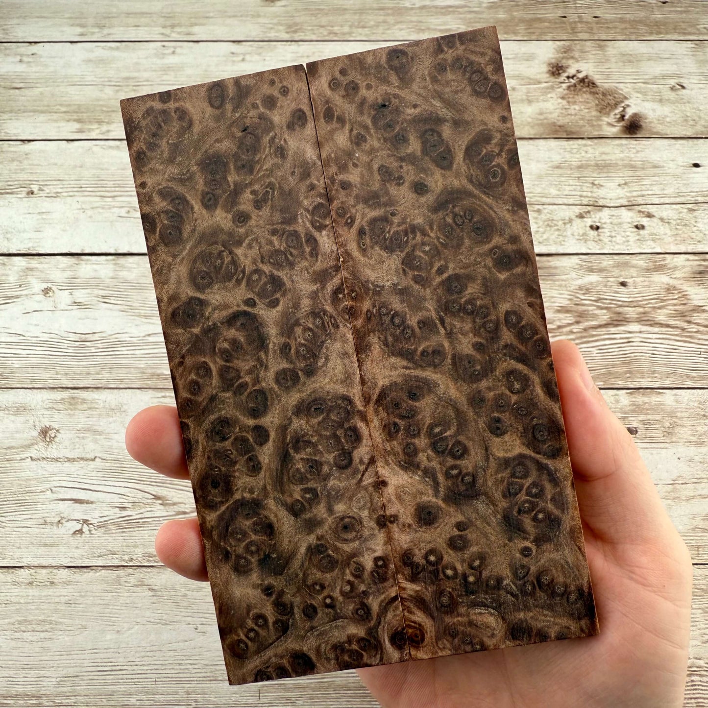 Redwood Burl Scales (K&G Stabilized) - REB50