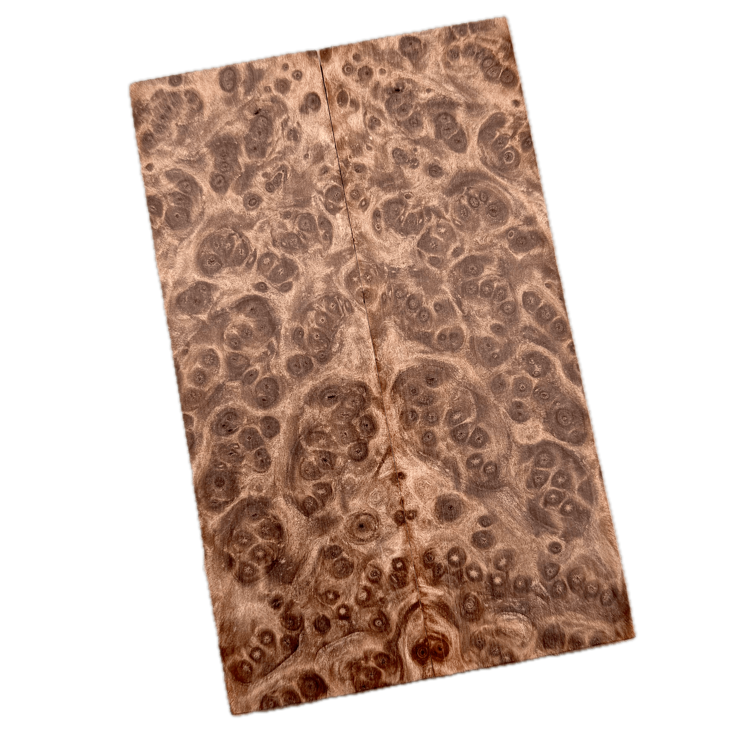Redwood Burl Scales (K&G Stabilized) - REB50