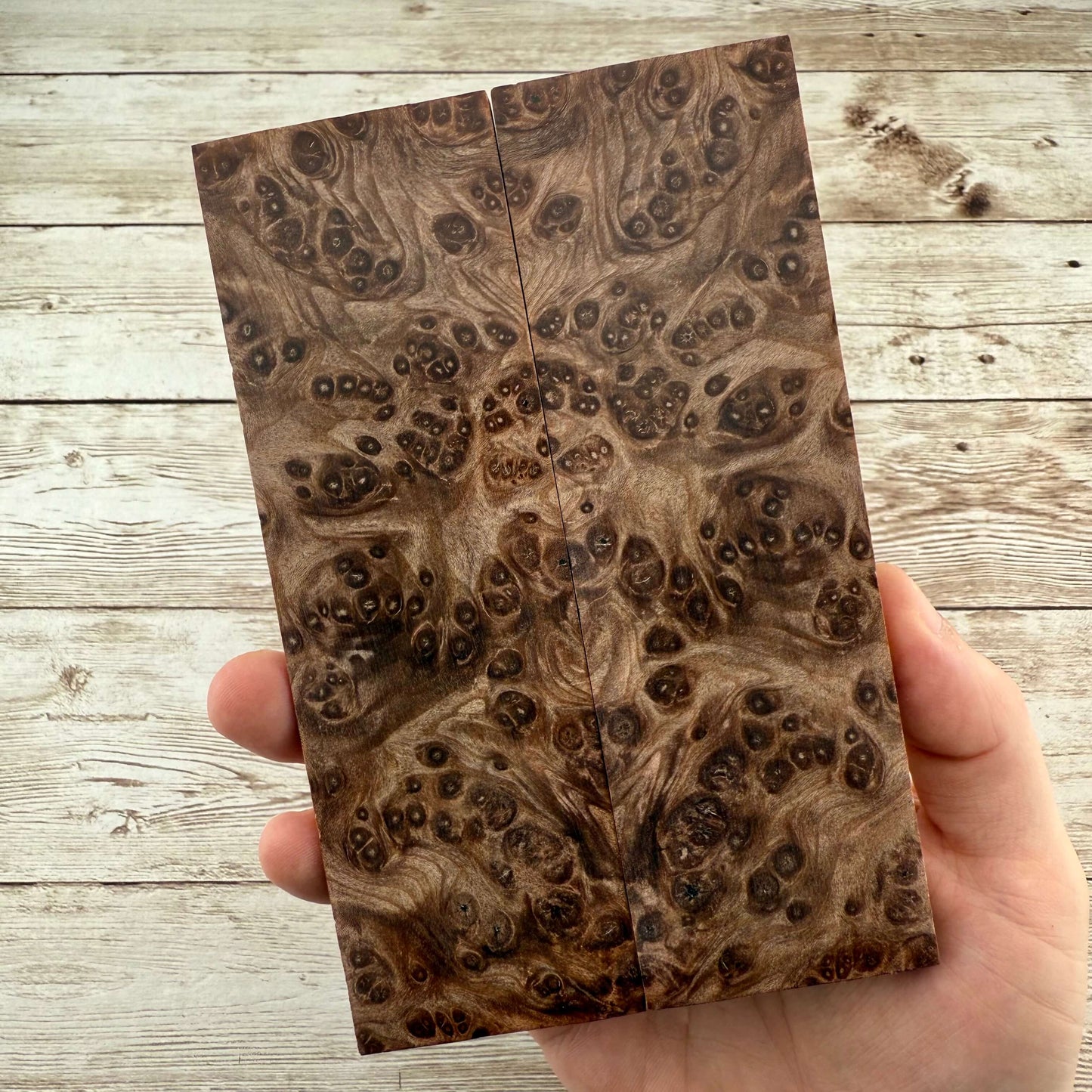 Redwood Burl Scales (K&G Stabilized) - REB51