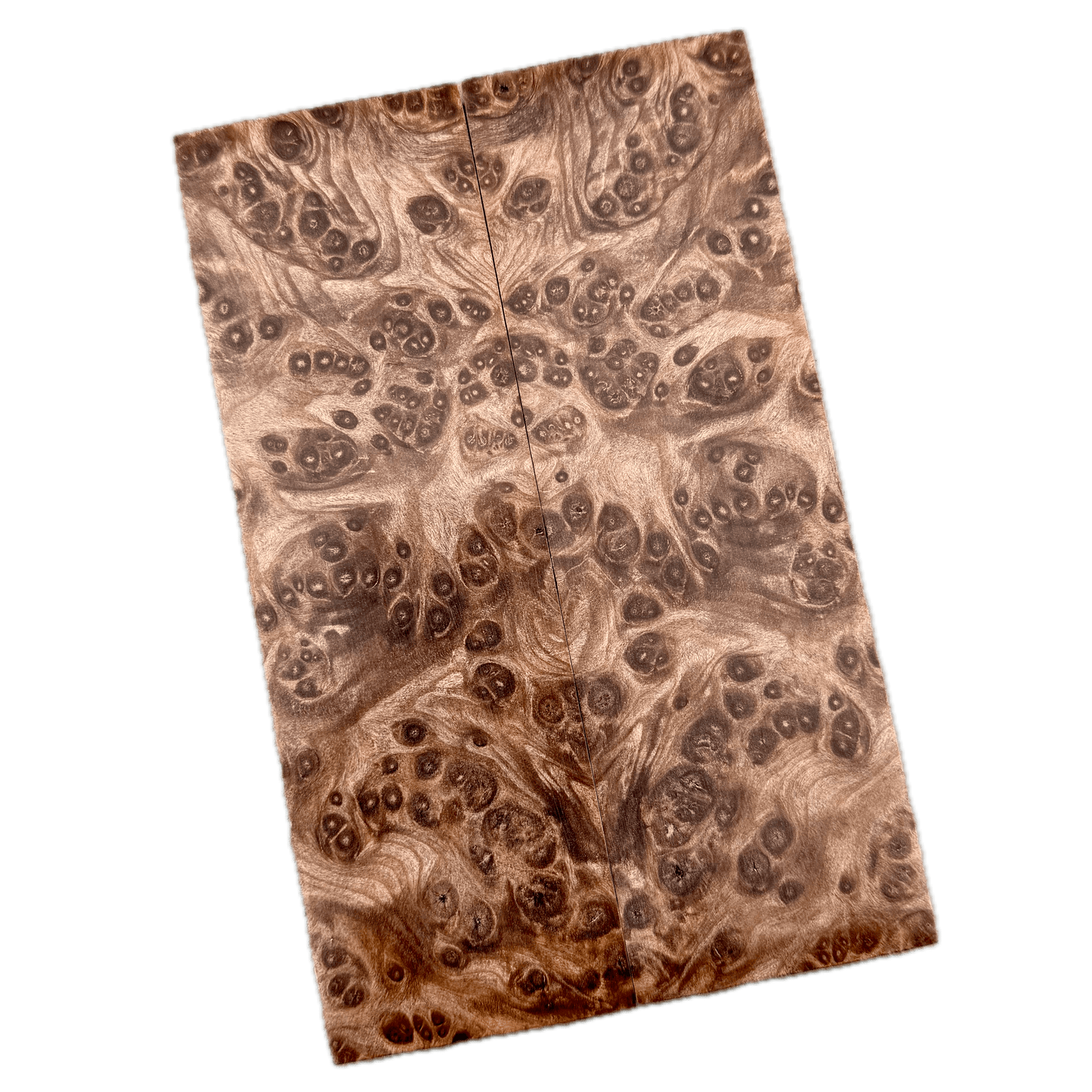 Redwood Burl Scales (K&G Stabilized) - REB51