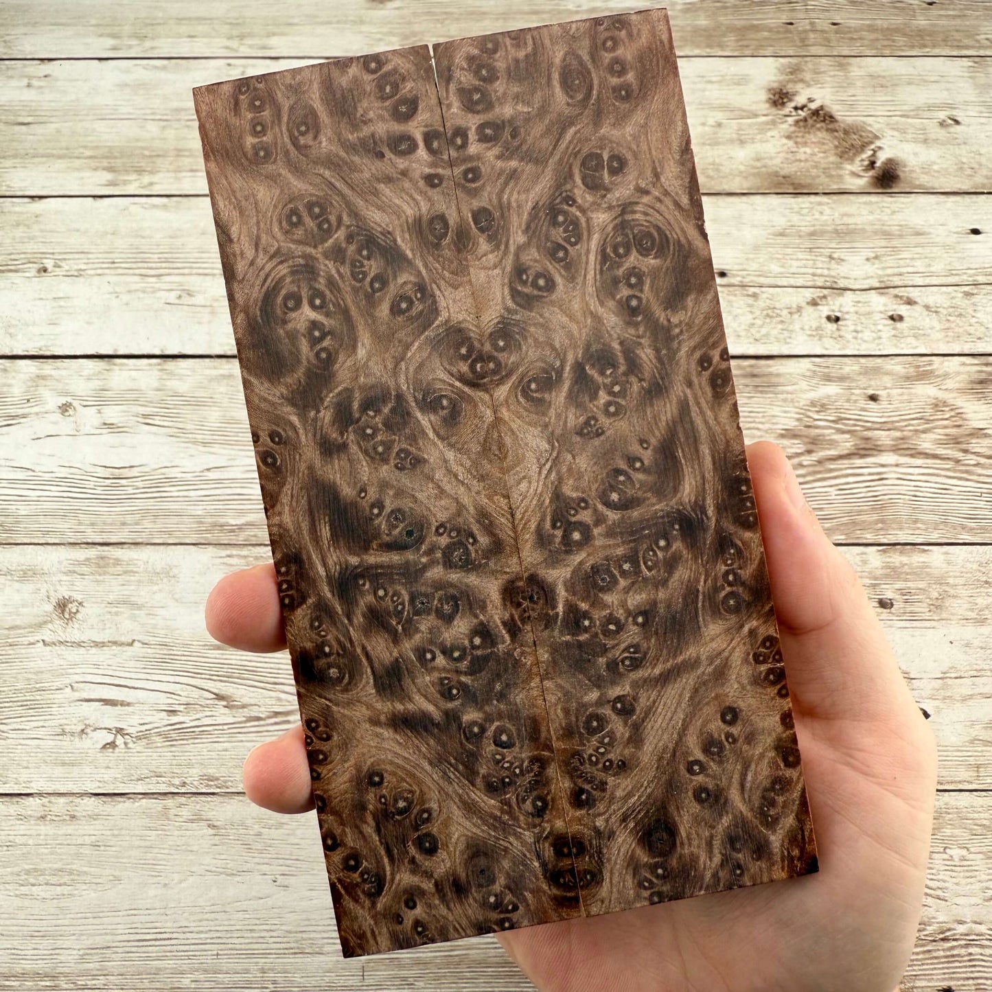 Redwood Burl Scales (K&G Stabilized) - REB52