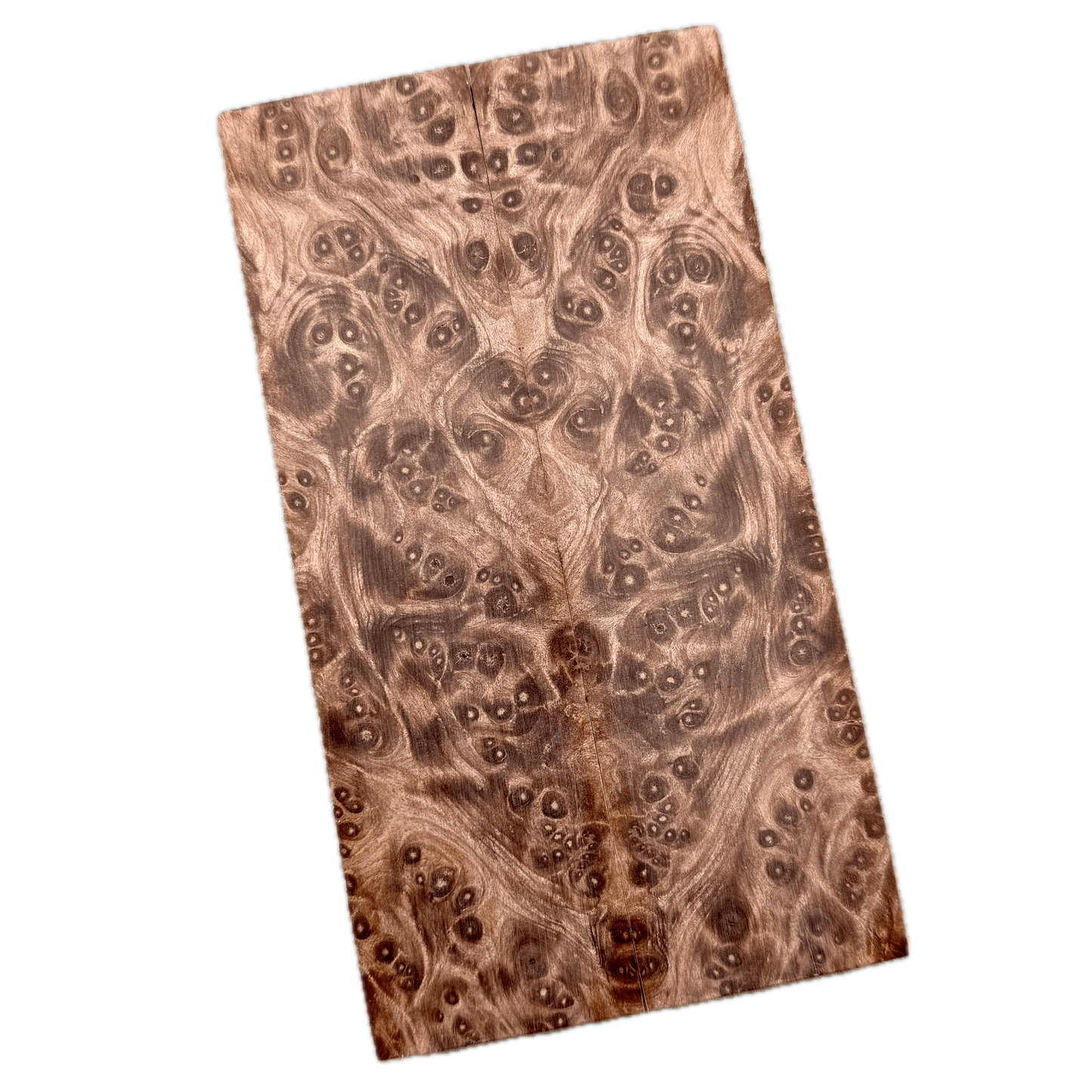 Redwood Burl Scales (K&G Stabilized) - REB52