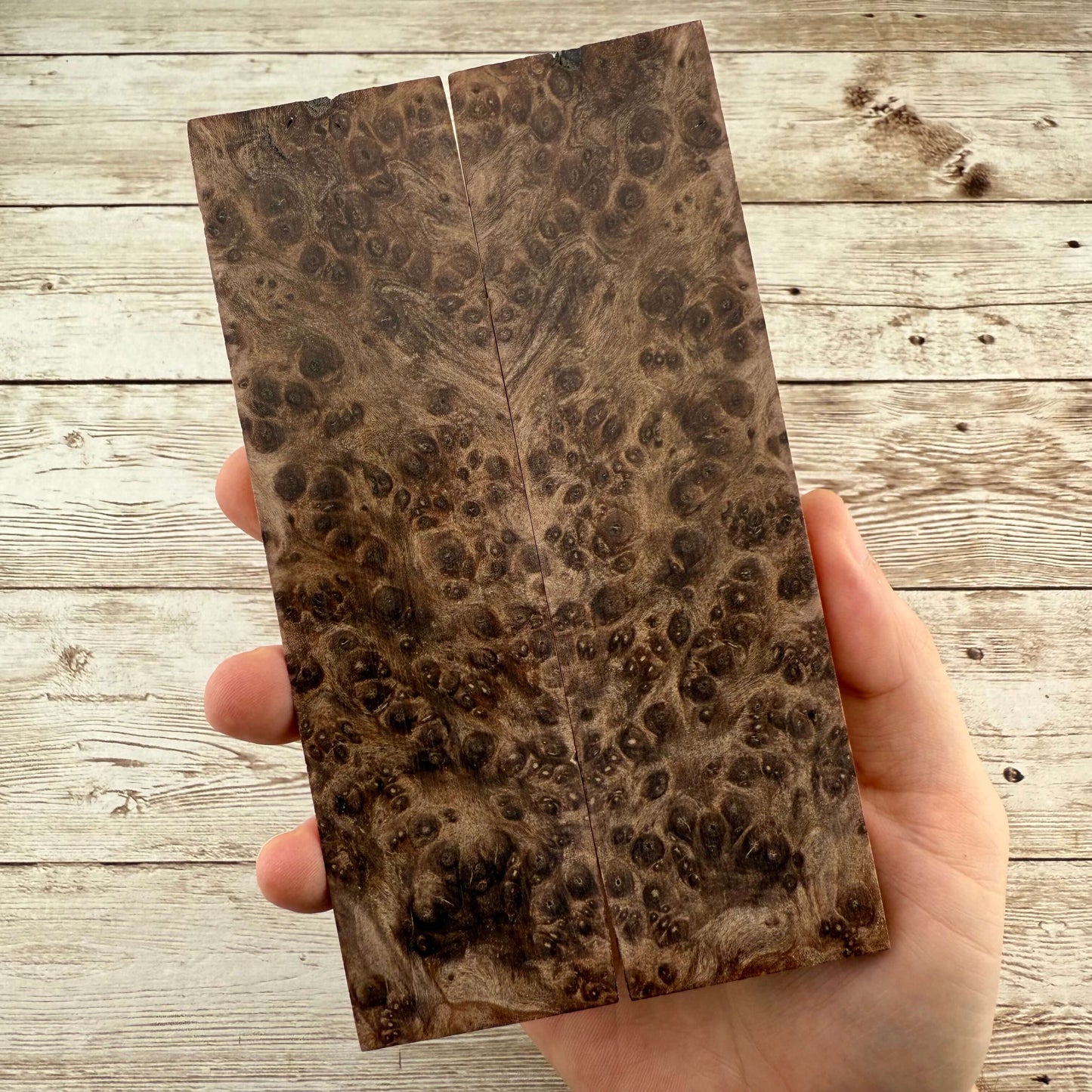 Redwood Burl Scales (K&G Stabilized) - REB53
