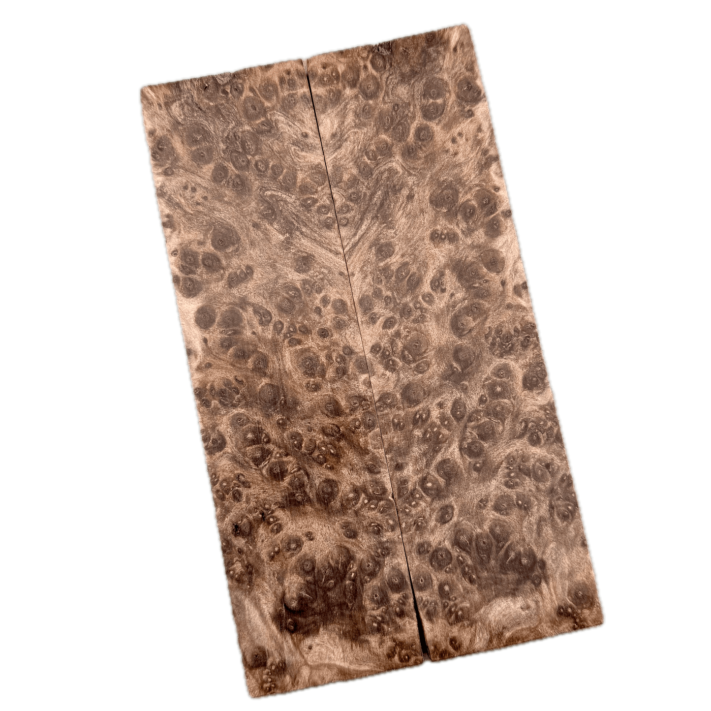 Redwood Burl Scales (K&G Stabilized) - REB53