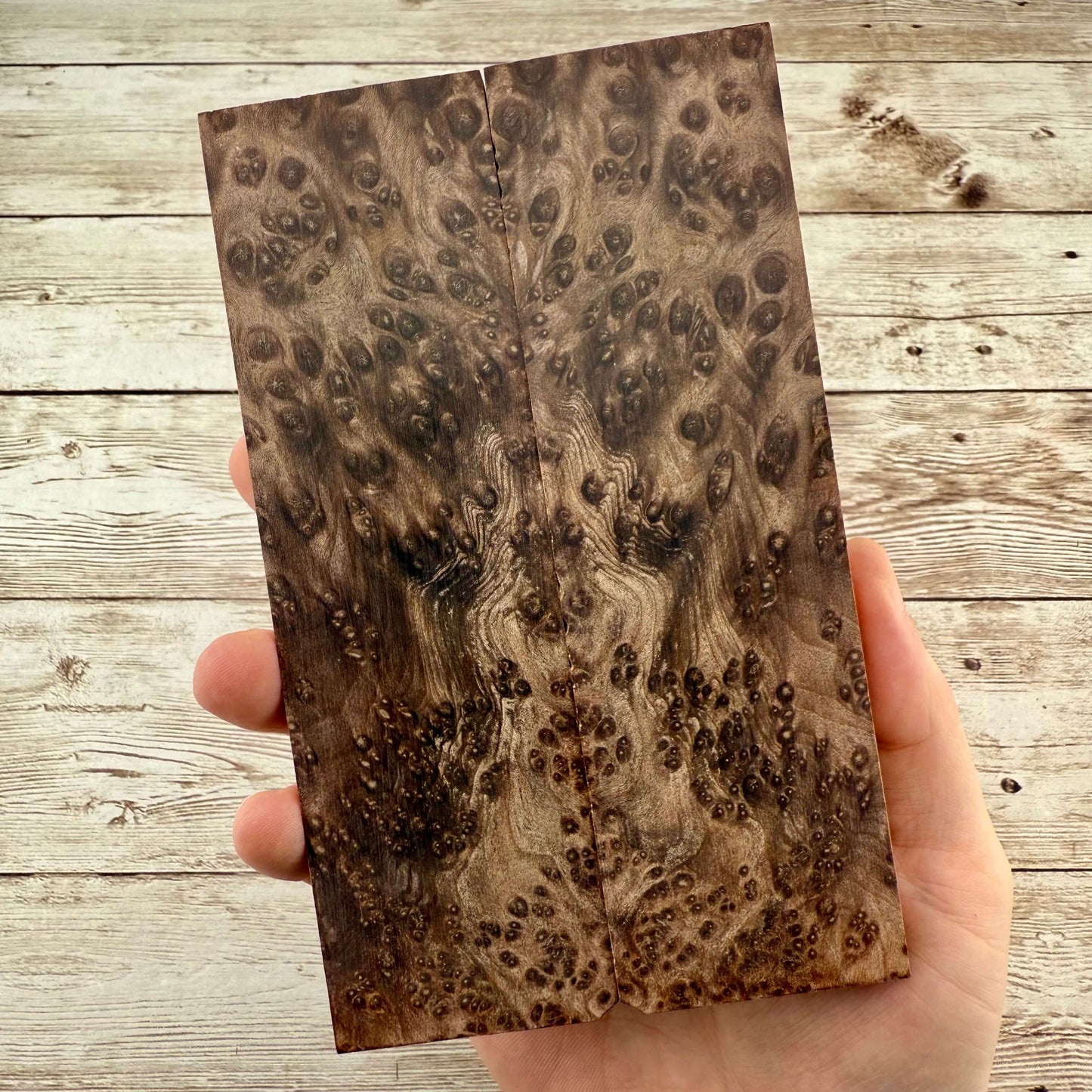 Redwood Burl Scales (K&G Stabilized) - REB54