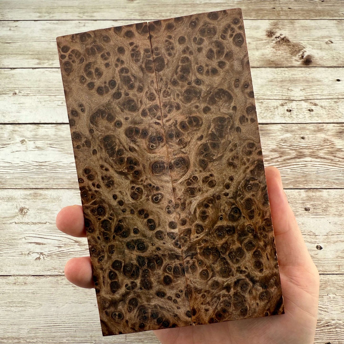 Redwood Burl Scales (K&G Stabilized) - REB55