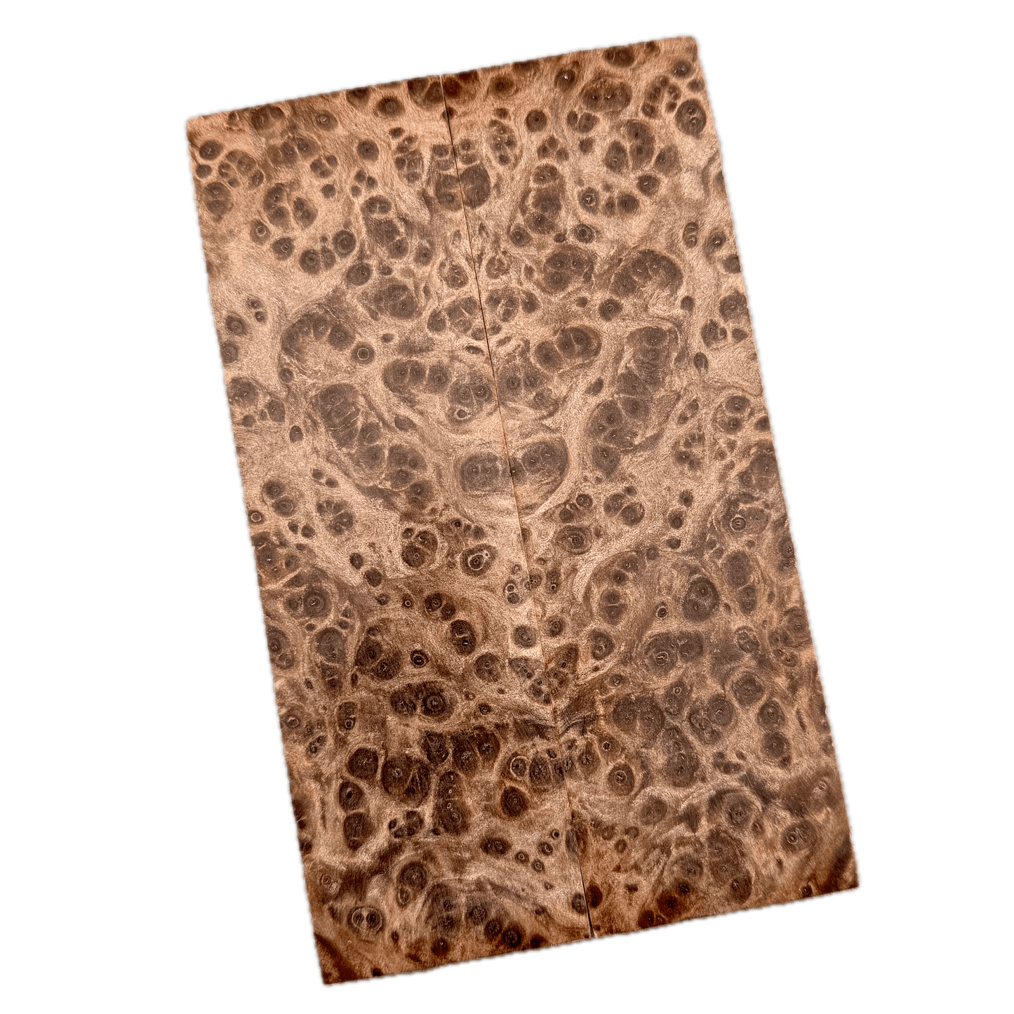 Redwood Burl Scales (K&G Stabilized) - REB55