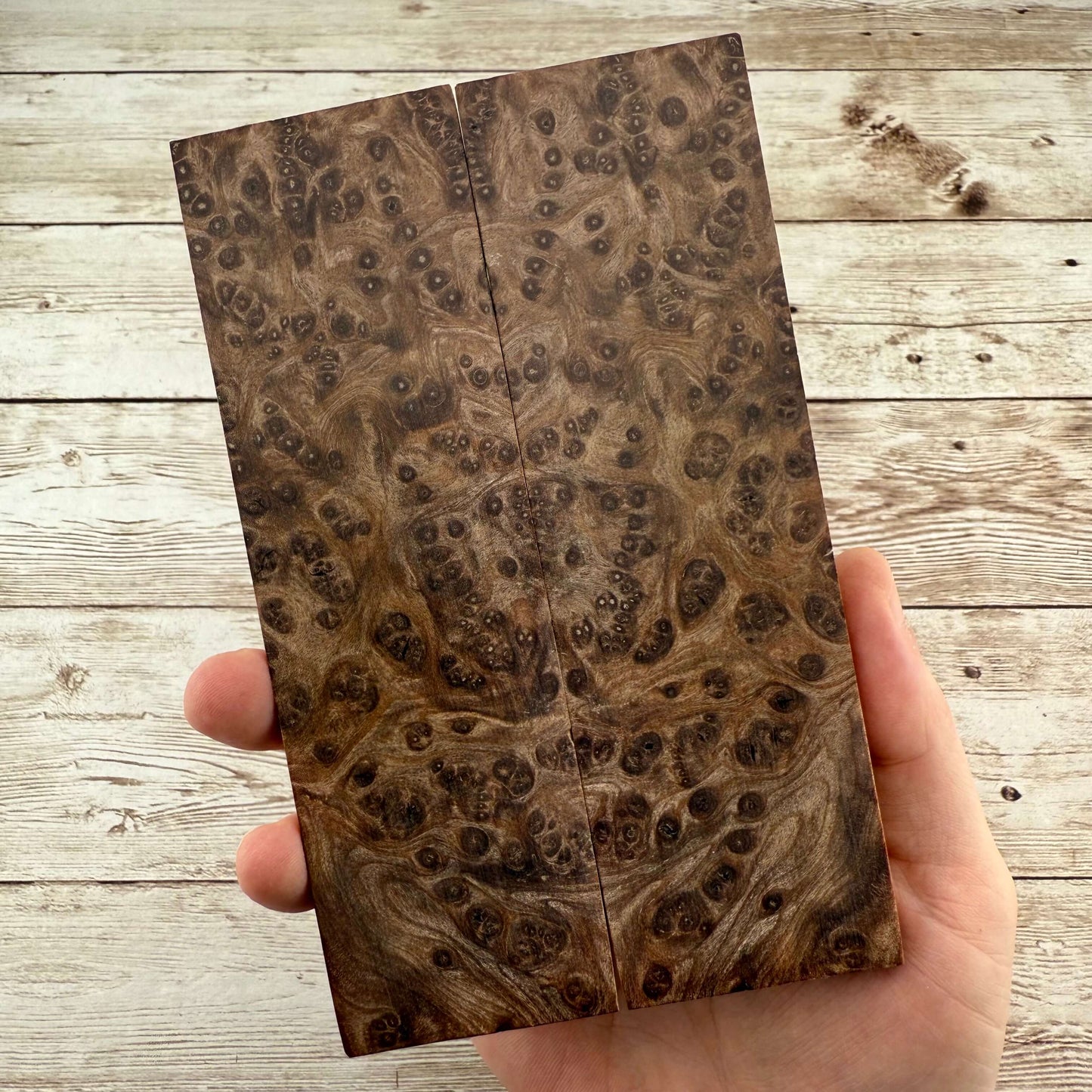Redwood Burl Scales (K&G Stabilized) - REB56