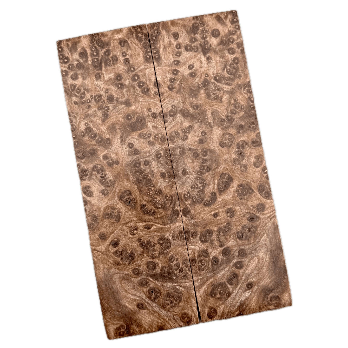 Redwood Burl Scales (K&G Stabilized) - REB56