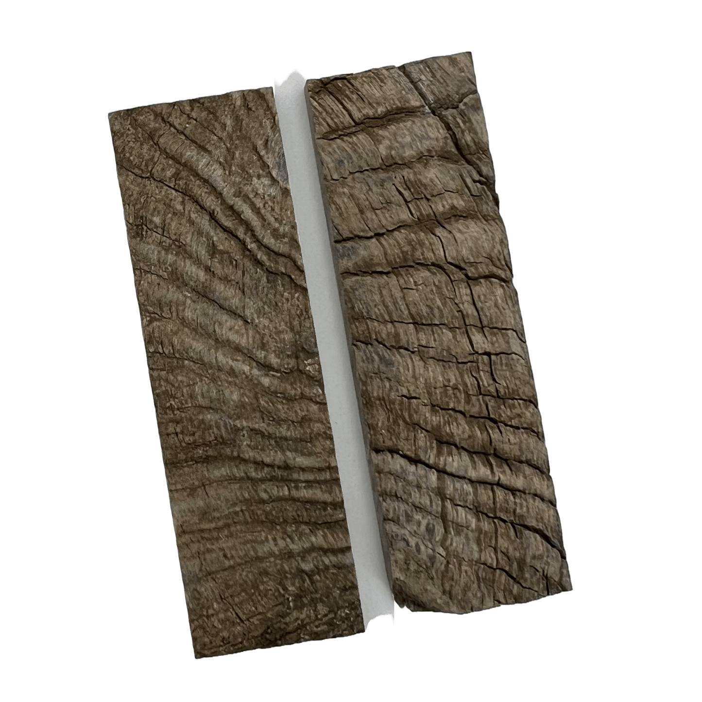Ram's Horn Scales