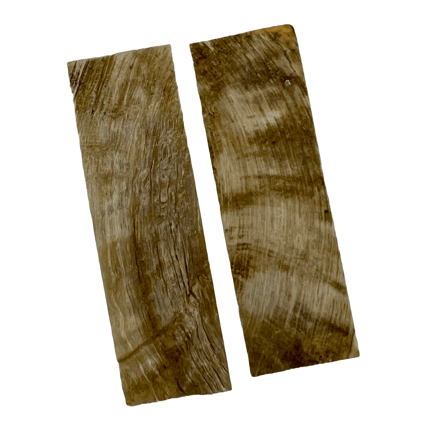 Ram's Horn Scales