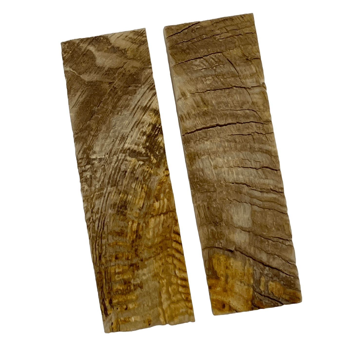 Ram's Horn Scales