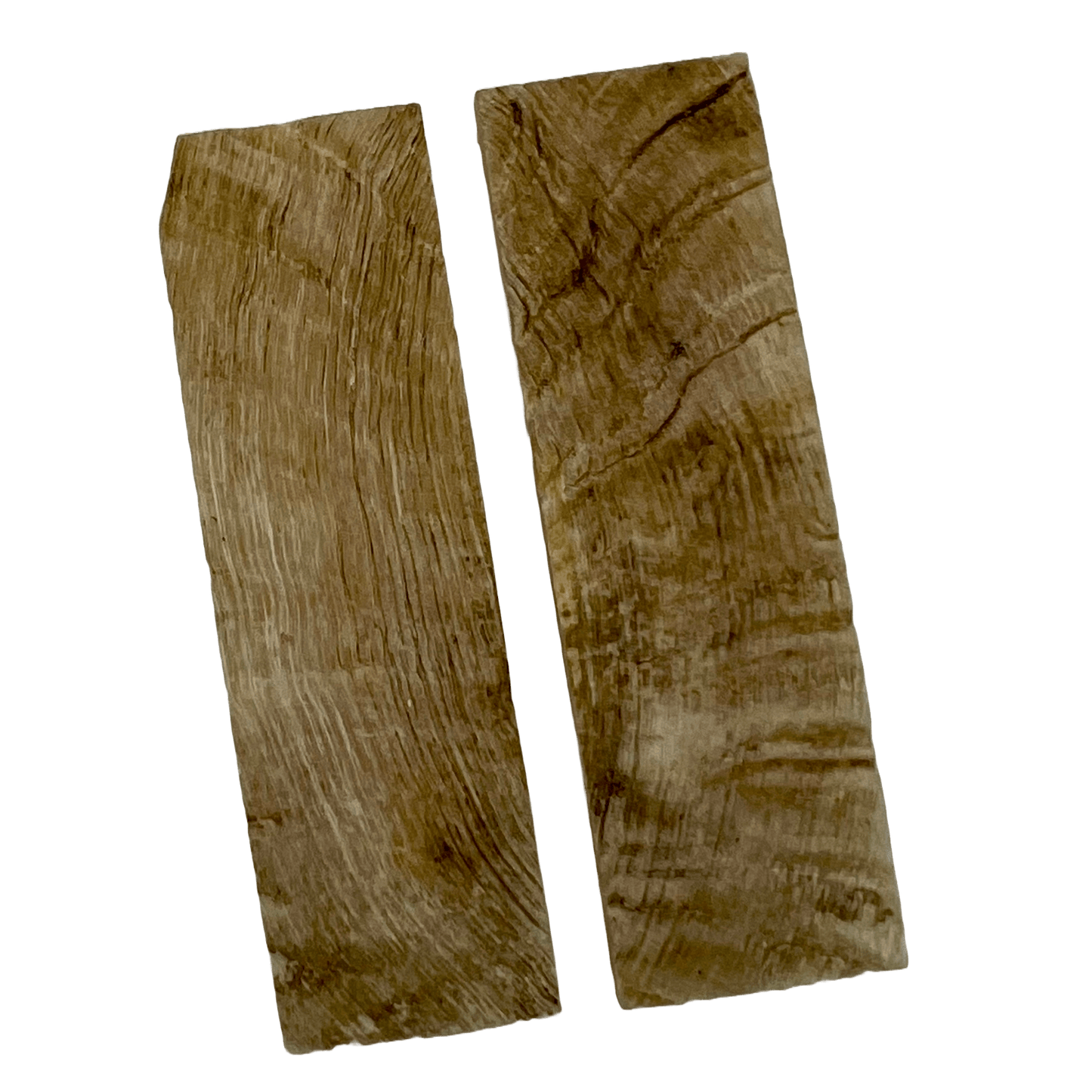 Ram's Horn Scales