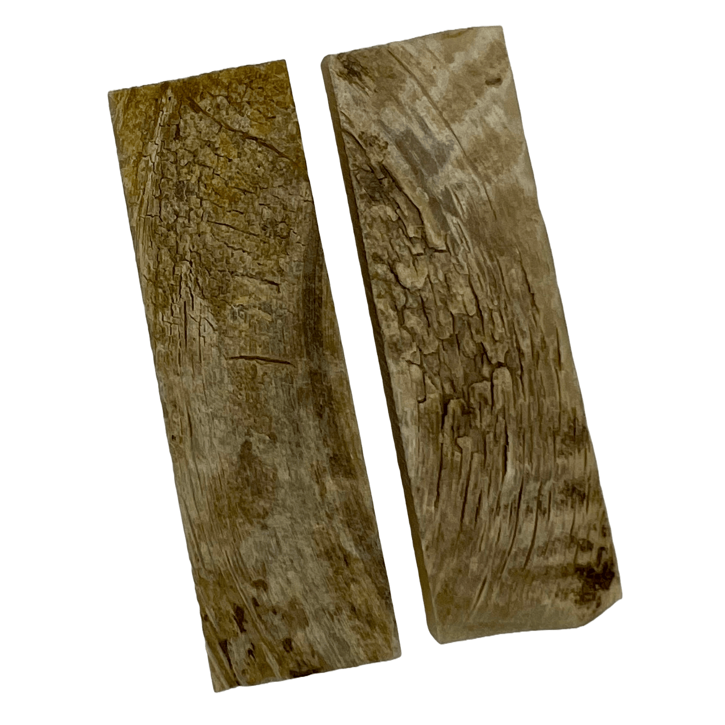 Ram's Horn Scales