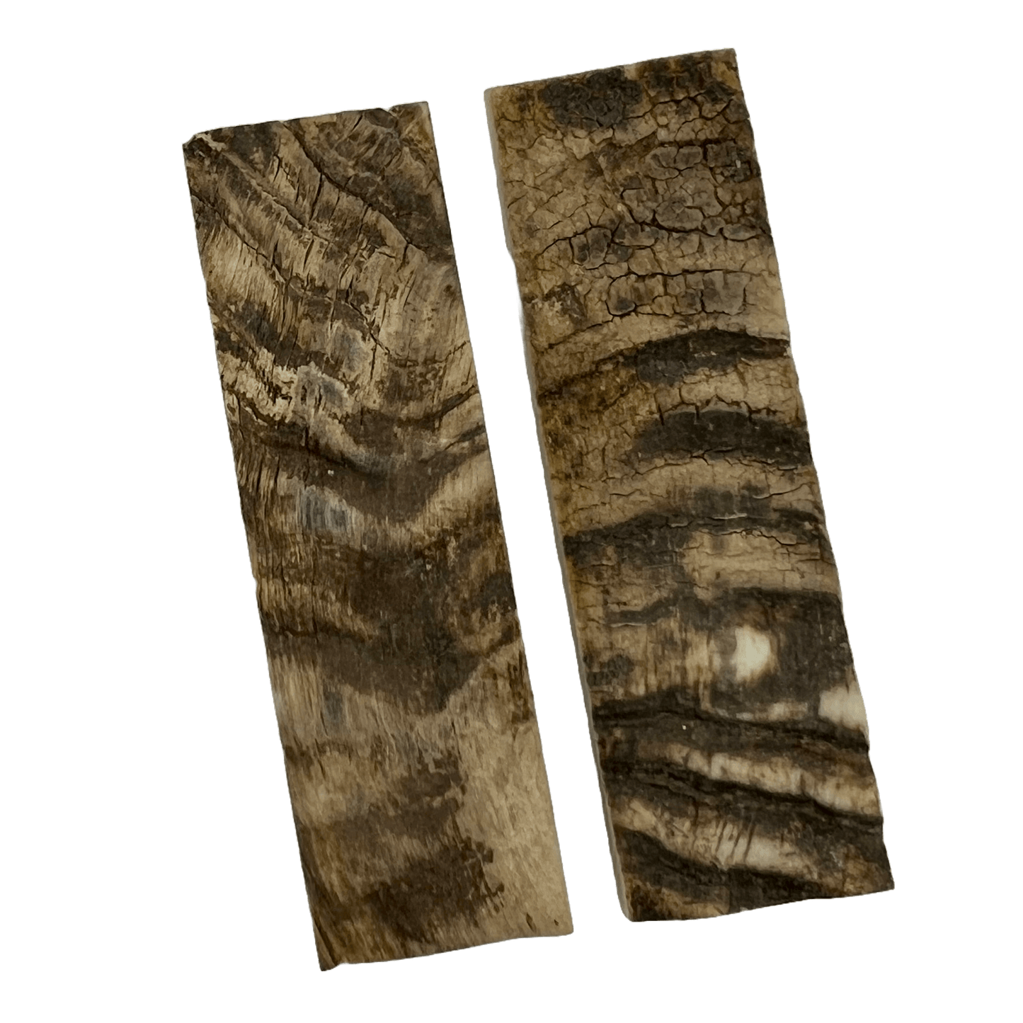 Ram's Horn Scales