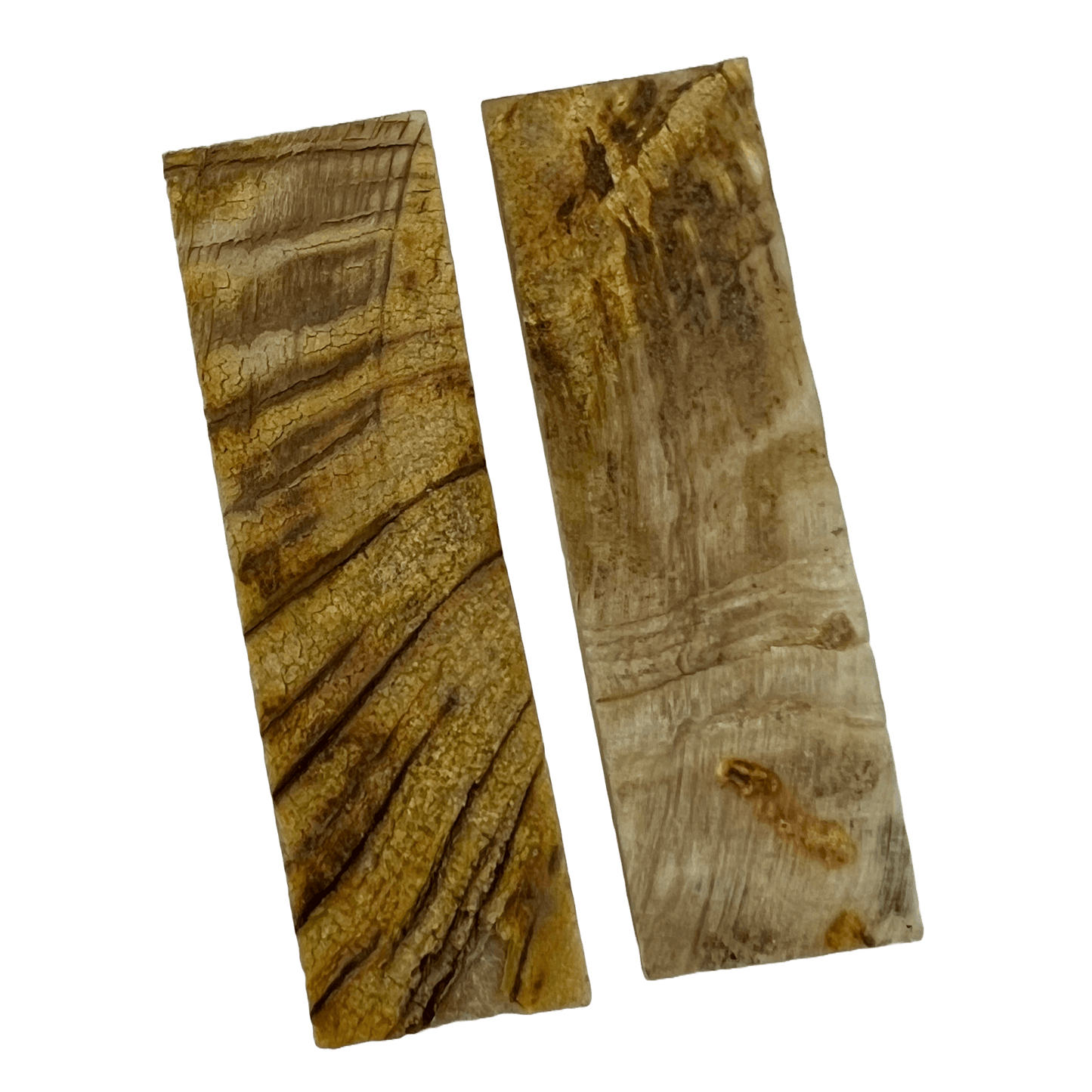 Ram's Horn Scales
