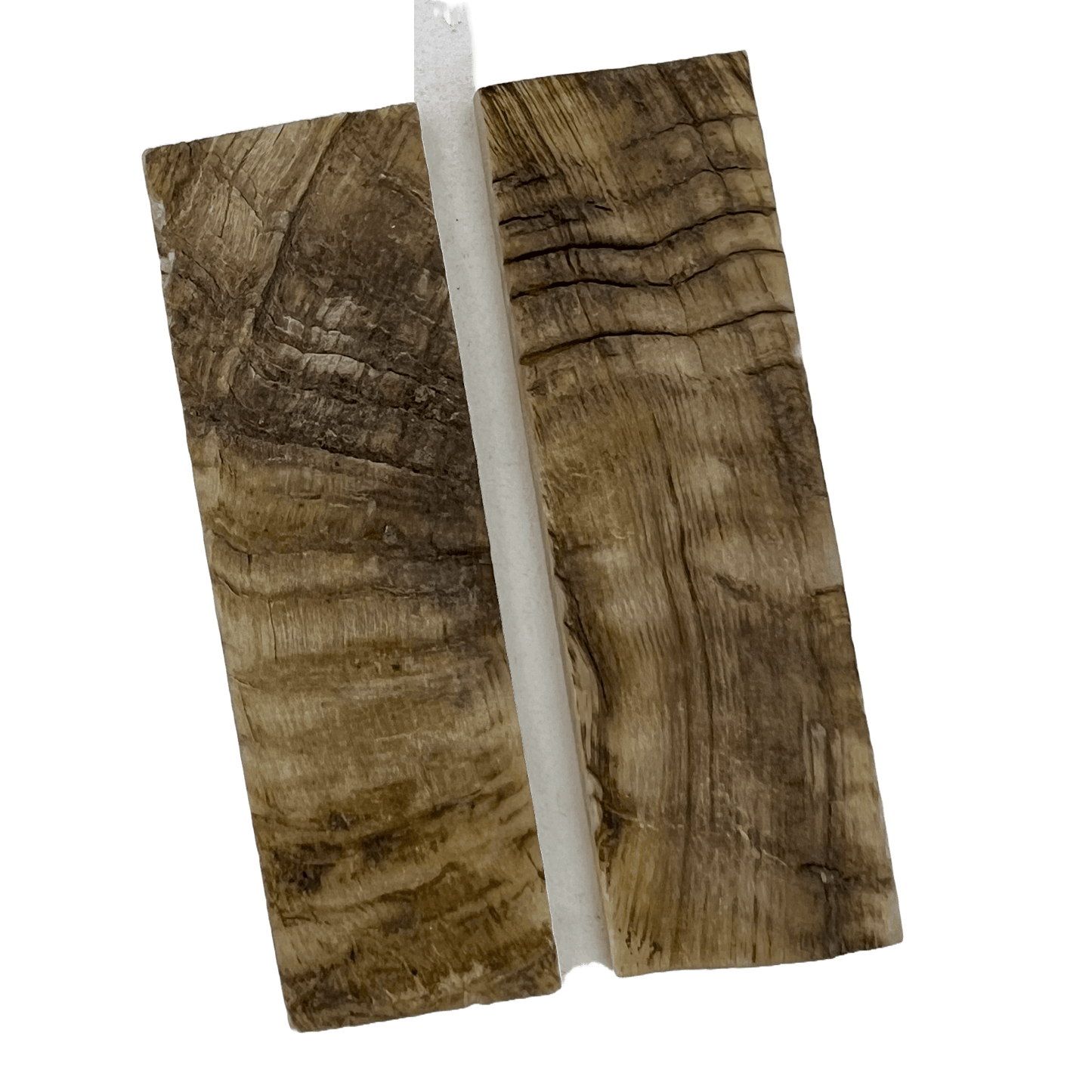 Ram's Horn Scales