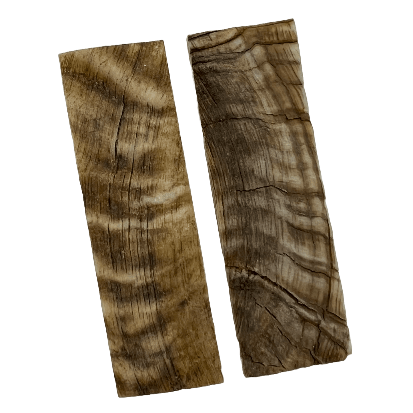 Ram's Horn Scales