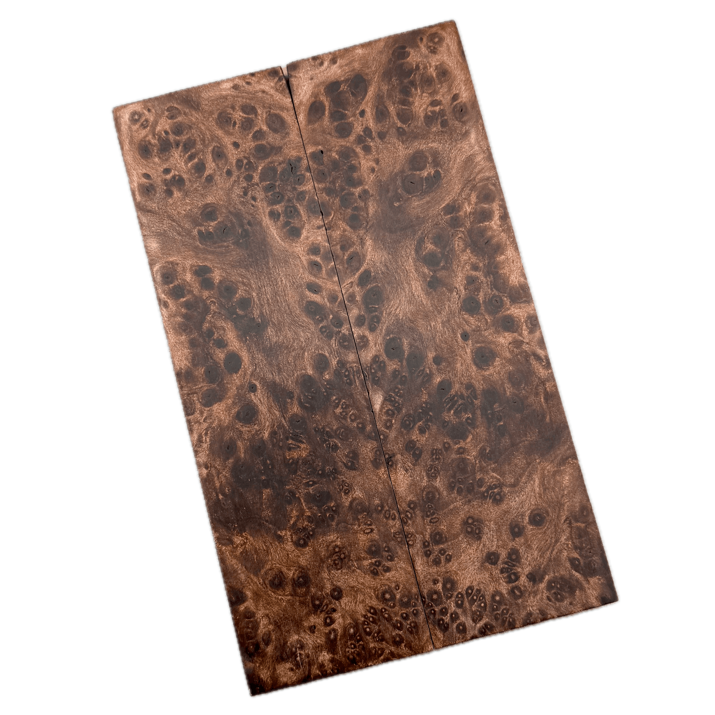 Redwood Burl Scales (K&G Stabilized) - REB57