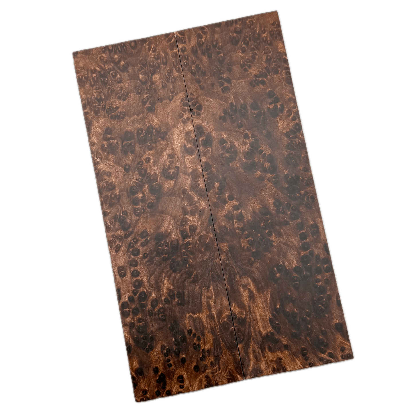 Redwood Burl Scales (K&G Stabilized) - REB59