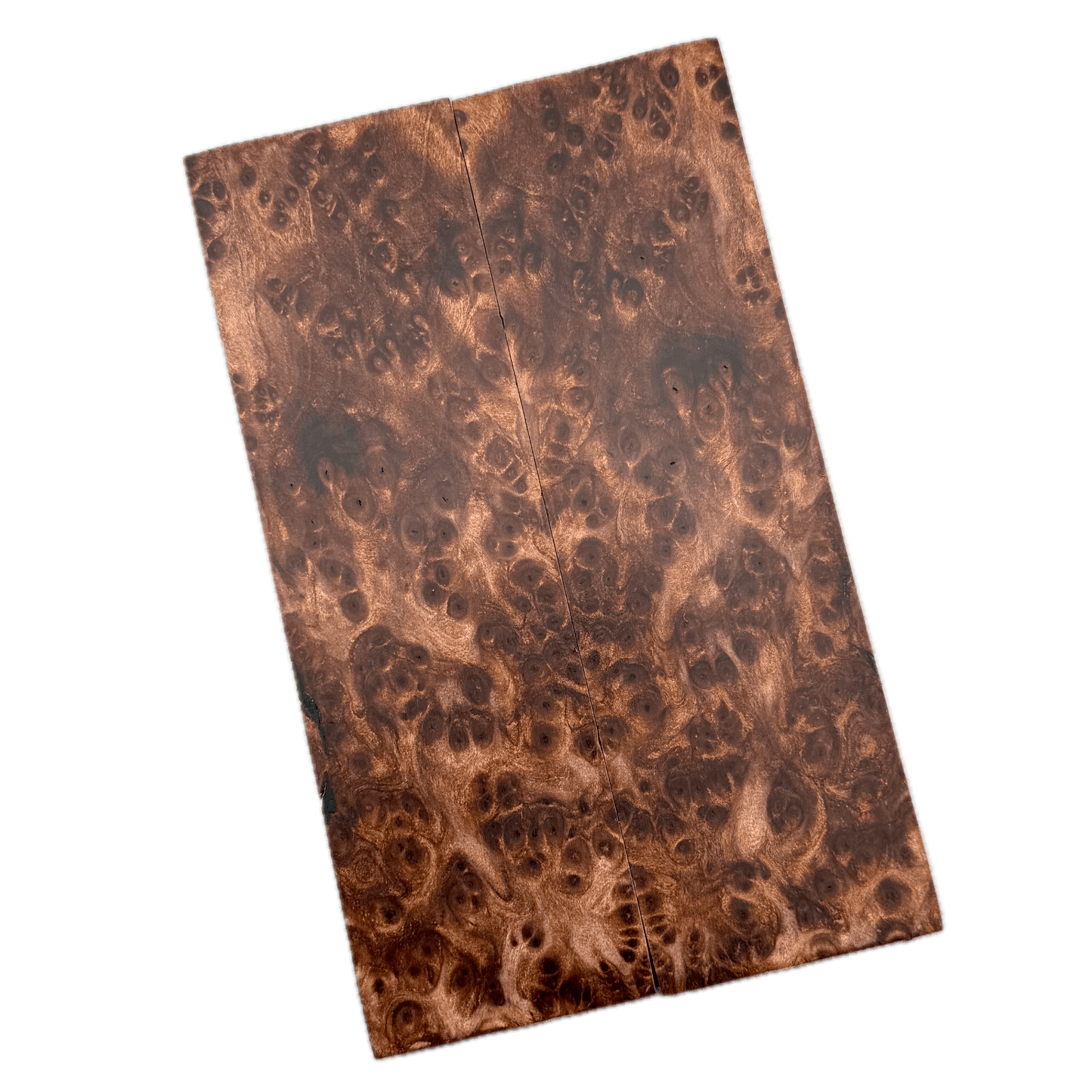 Redwood Burl Scales (K&G Stabilized) - REB60