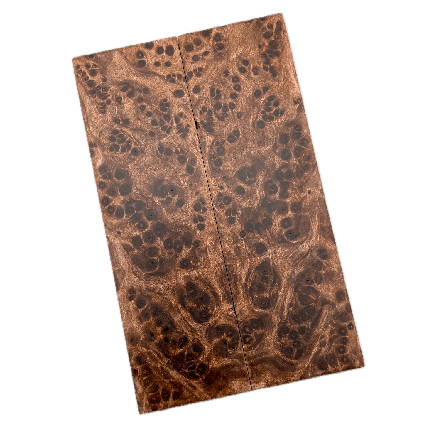 Redwood Burl Scales (K&G Stabilized) - REB61