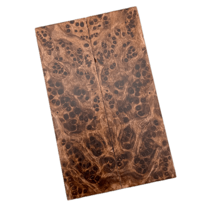 Redwood Burl Scales (K&G Stabilized) - REB61